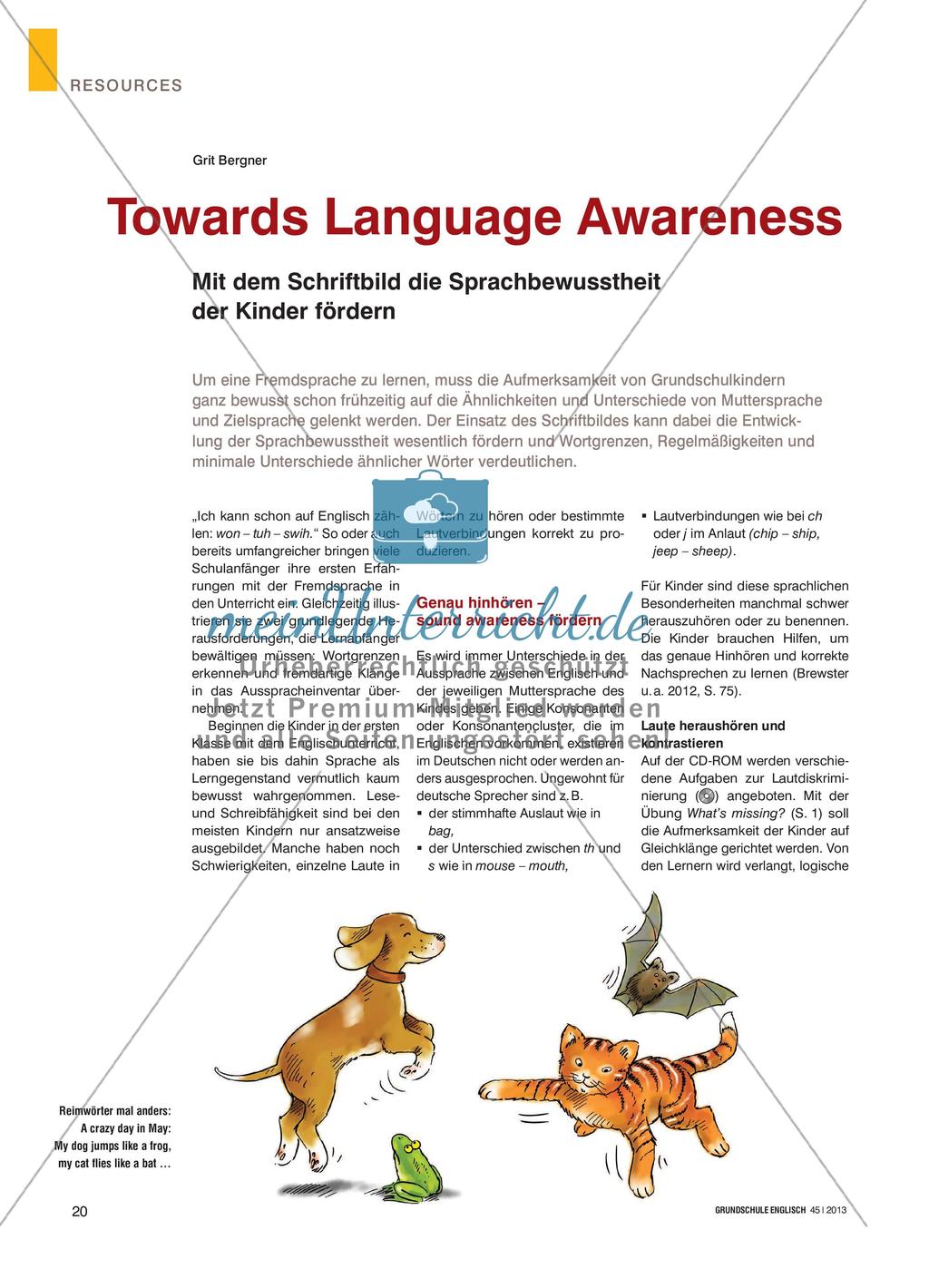 Towards Language Awareness - Mit dem Schriftbild die Sprachbewusstheit der Kinder fördern Preview 1