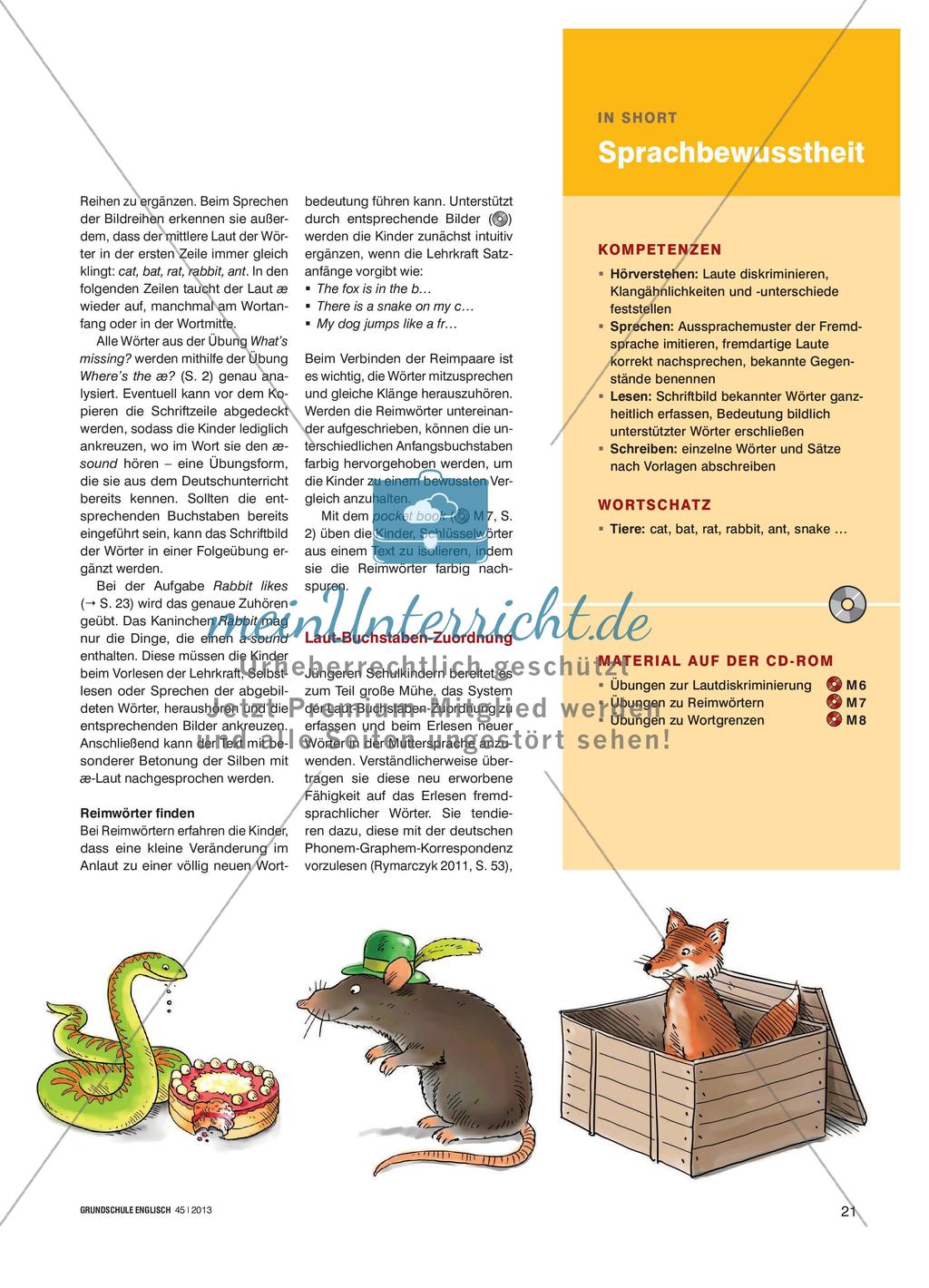Towards Language Awareness - Mit dem Schriftbild die Sprachbewusstheit der Kinder fördern Preview 2