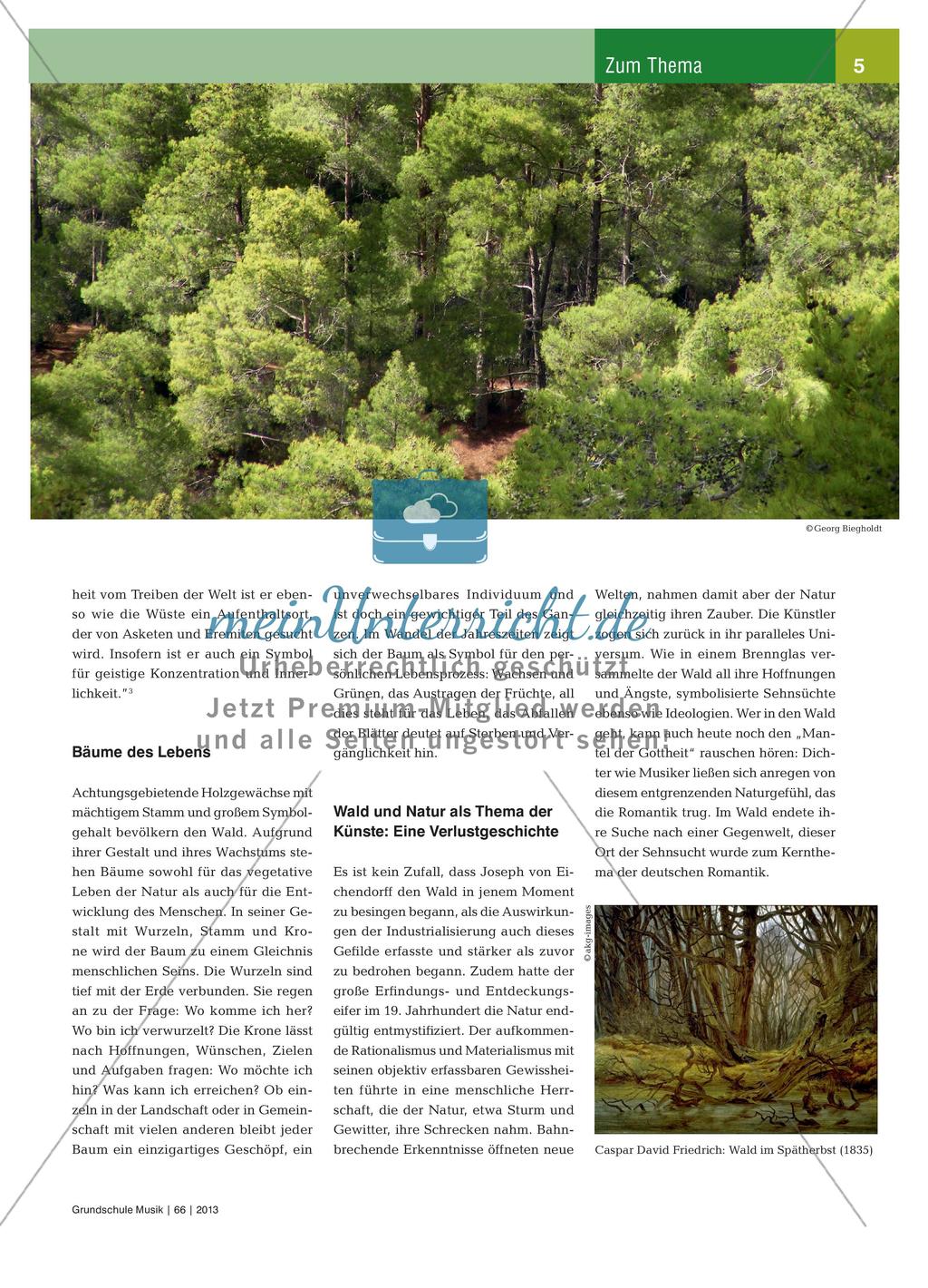 Die Thematik