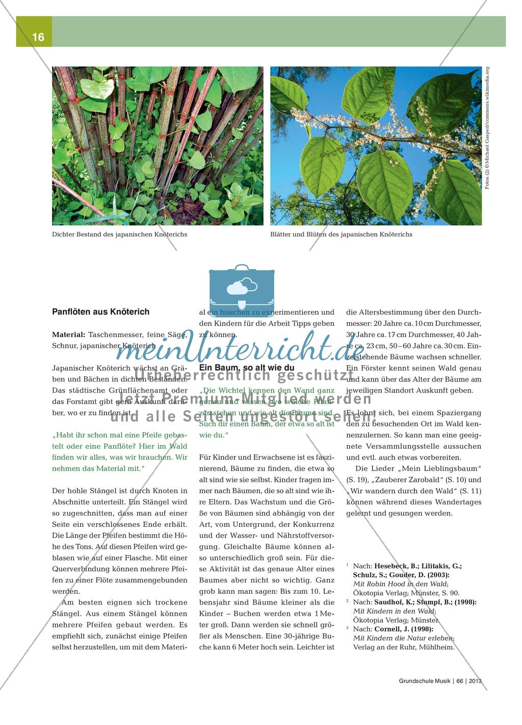 Ein Wandertag im Wald: Lausch- und Hörspiele in der Natur Preview 5
