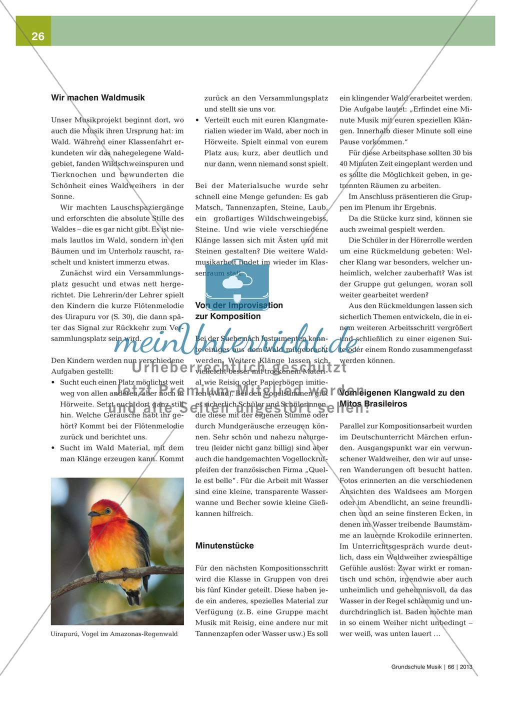 Mitos Brasileiros: Märchenfiguren aus dem Regenwald im Musikunterricht Preview 2
