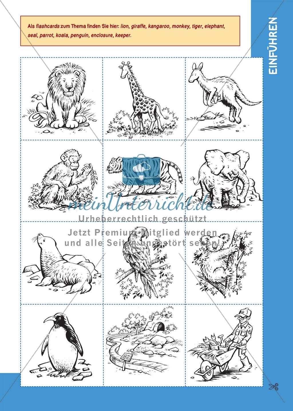 Flashcards Preview 1