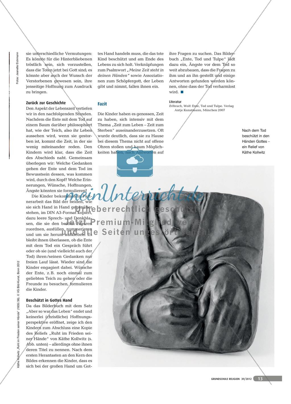 Zeit zum leben – Zeit zum sterben: Das Bilderbuch „Ente, Tod und Tulpe“ von Wolf Erlbruch Preview 4