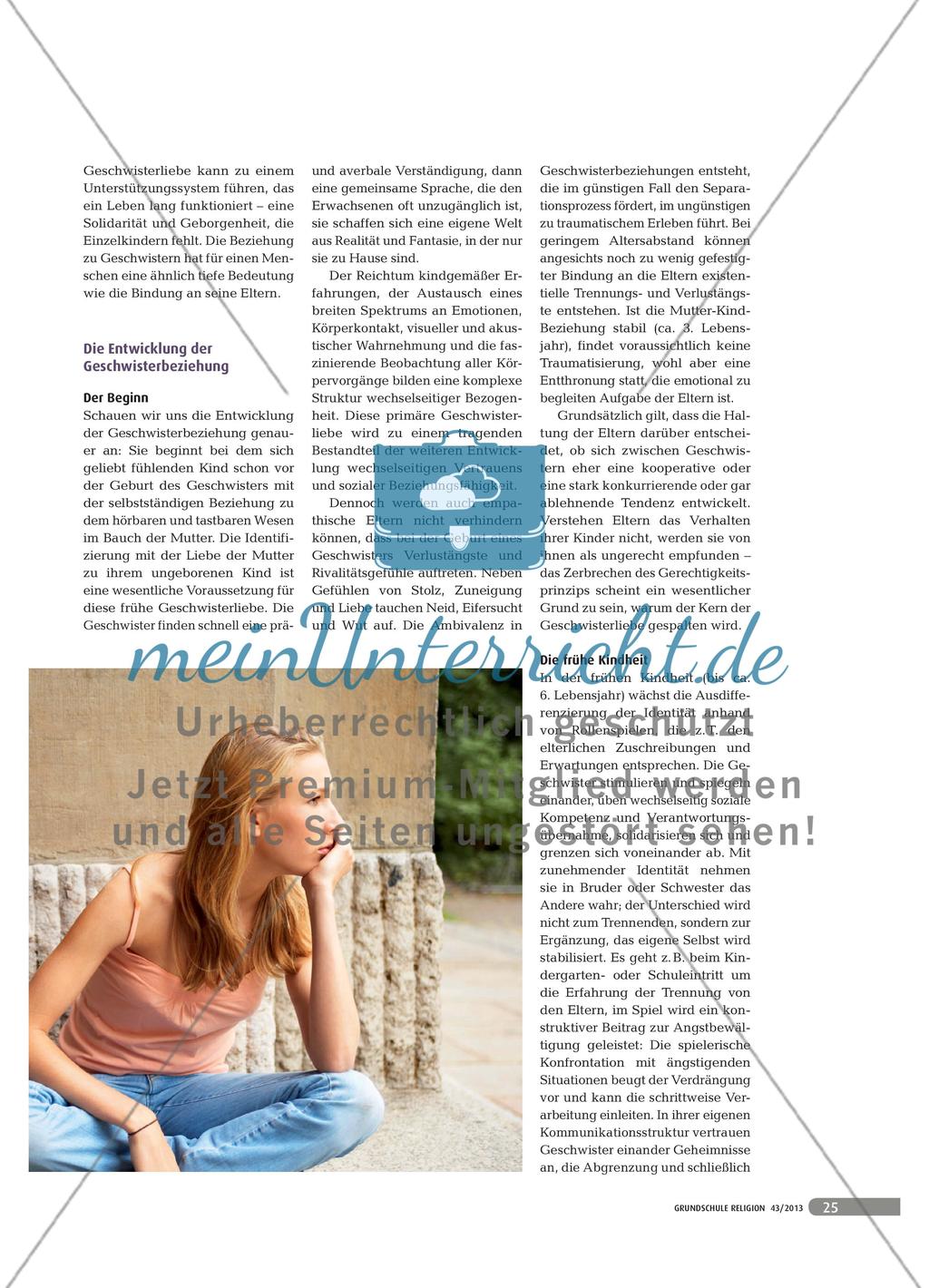 „Du bist unausstehlich, geliebte Schwester!“ - Die Bedeutung von Geschwisterbeziehungen Preview 2