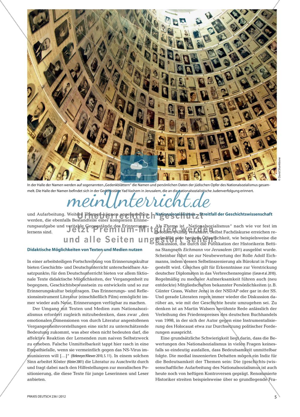 Nationalsozialismus Preview 2