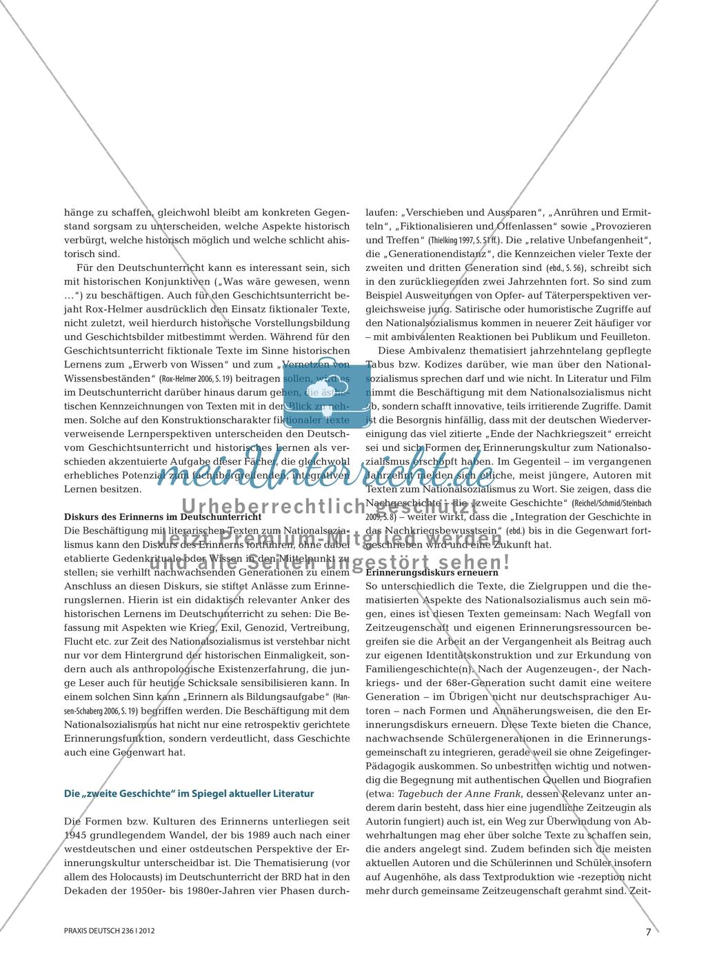 Nationalsozialismus Preview 4