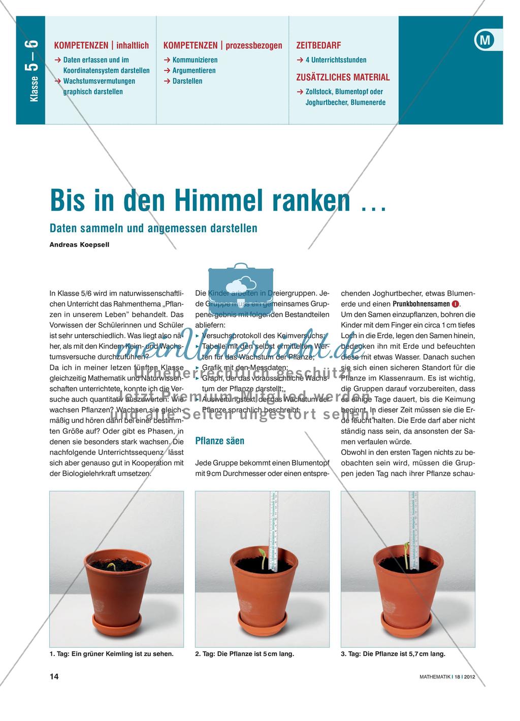 Bis in den Himmel ranken ... - Daten sammeln und angemessen darstellen Preview 1