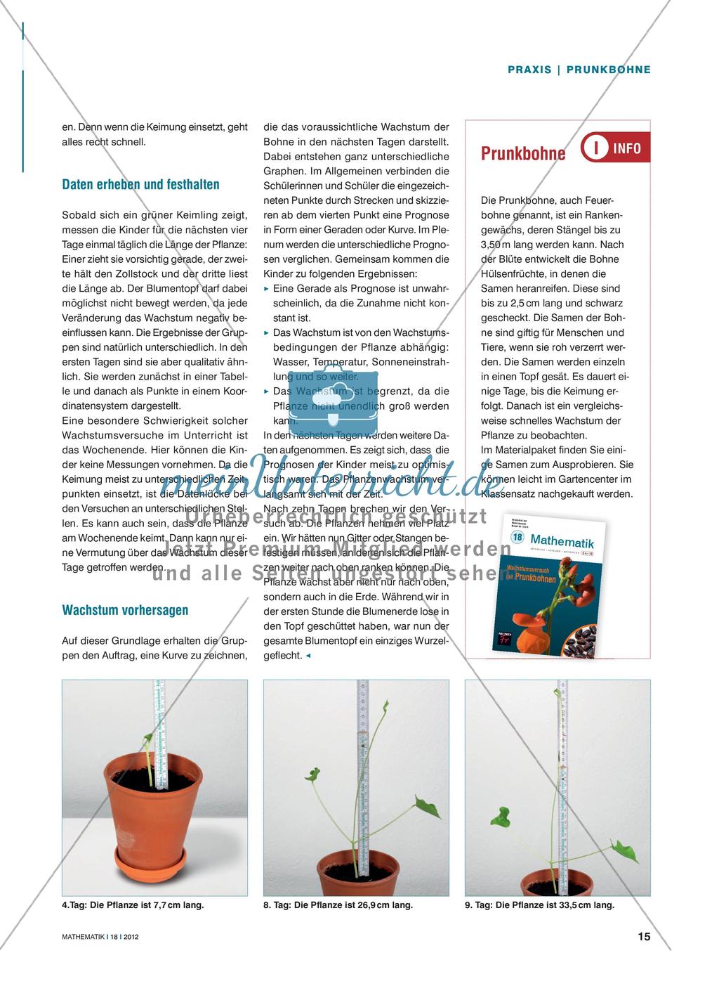 Bis in den Himmel ranken ... - Daten sammeln und angemessen darstellen Preview 2