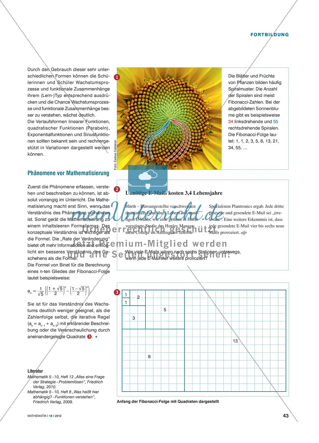 Wachstum in uns und um uns herum – Muster und Strukturen Preview 2