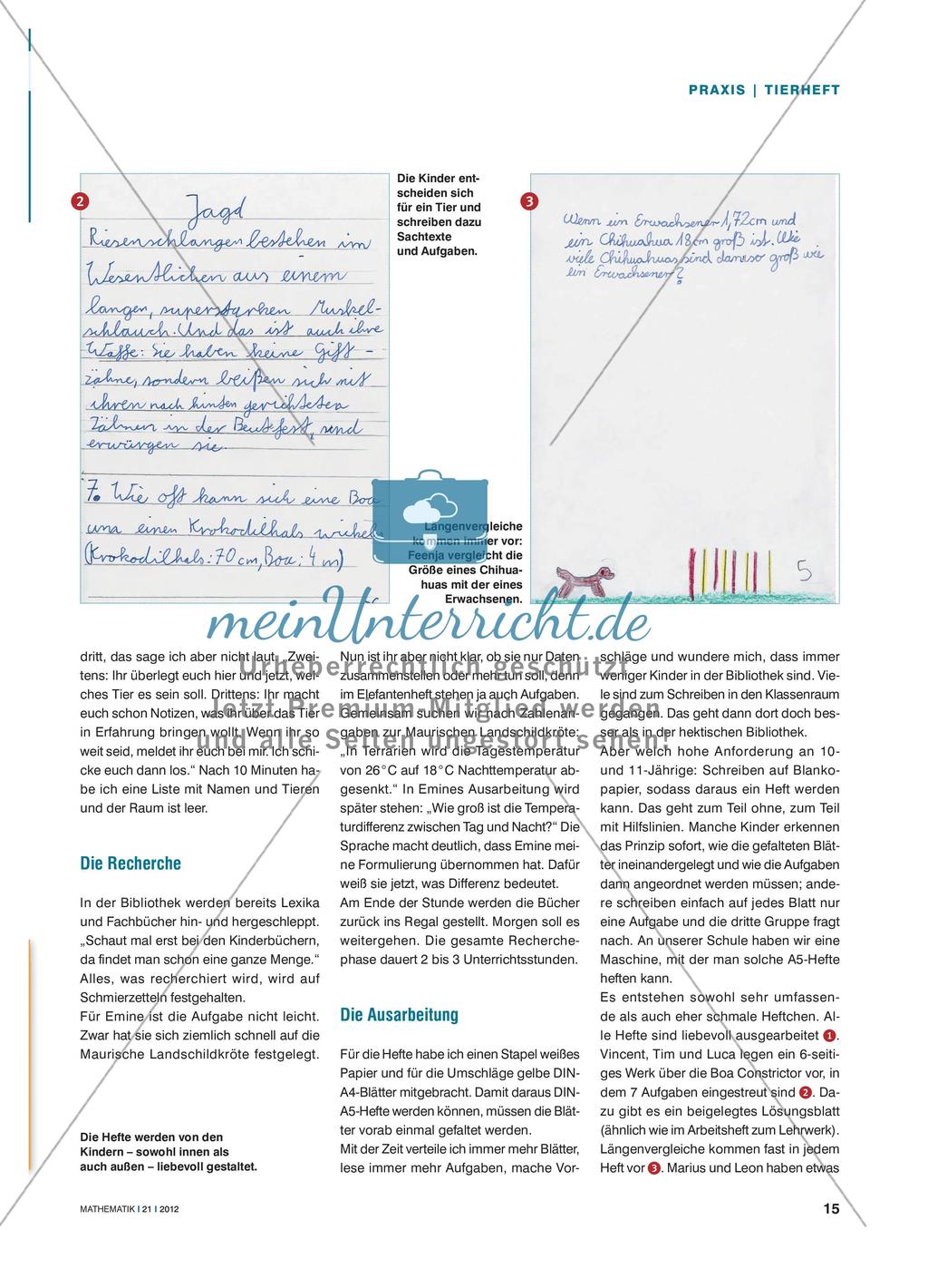 Über Hunde, Hasen und Haie - Sachtexte und Aufgaben zu Tieren Preview 2