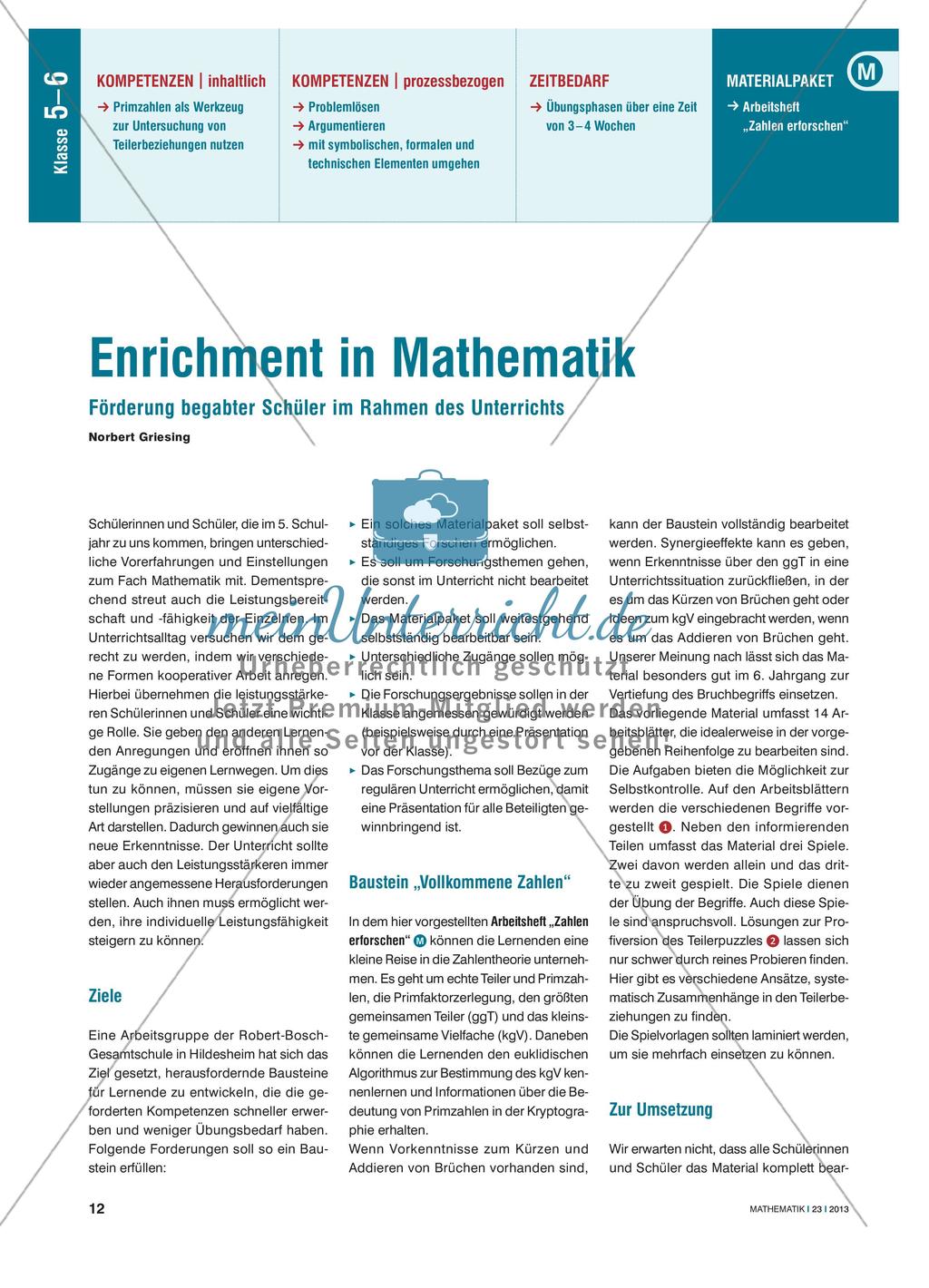 Enrichment in Mathematik - Förderung begabter Schüler im Rahmen des Unterrichts Preview 1