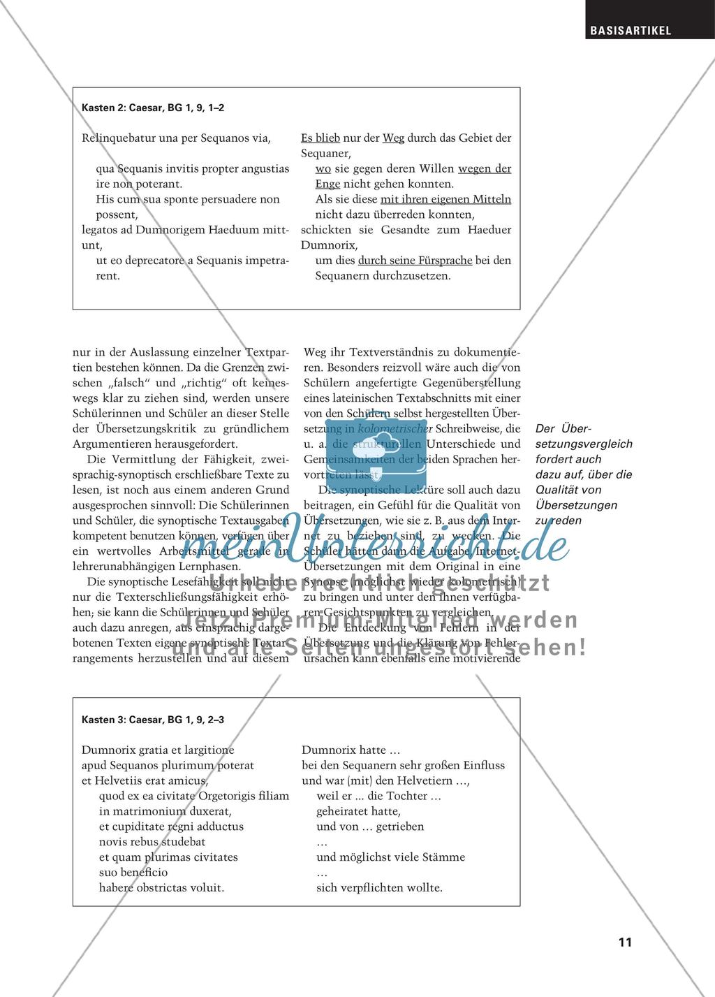 Synoptisches Lesen und bilinguales Textverstehen Preview 10