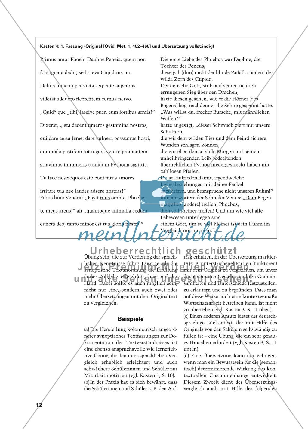 Synoptisches Lesen und bilinguales Textverstehen Preview 11