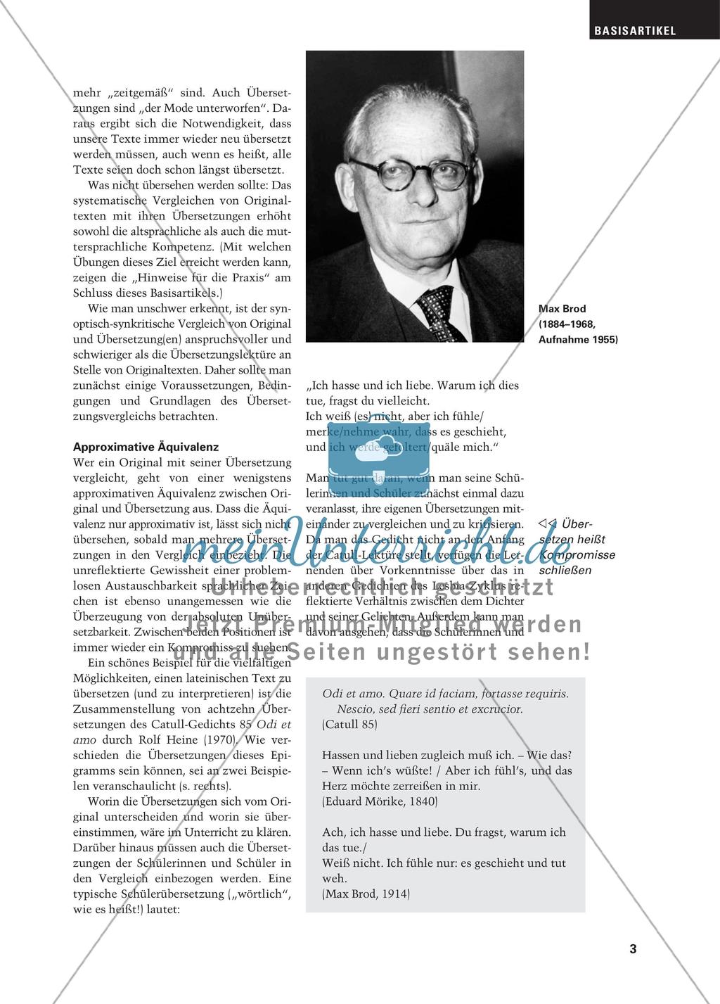 Synoptisches Lesen und bilinguales Textverstehen Preview 2