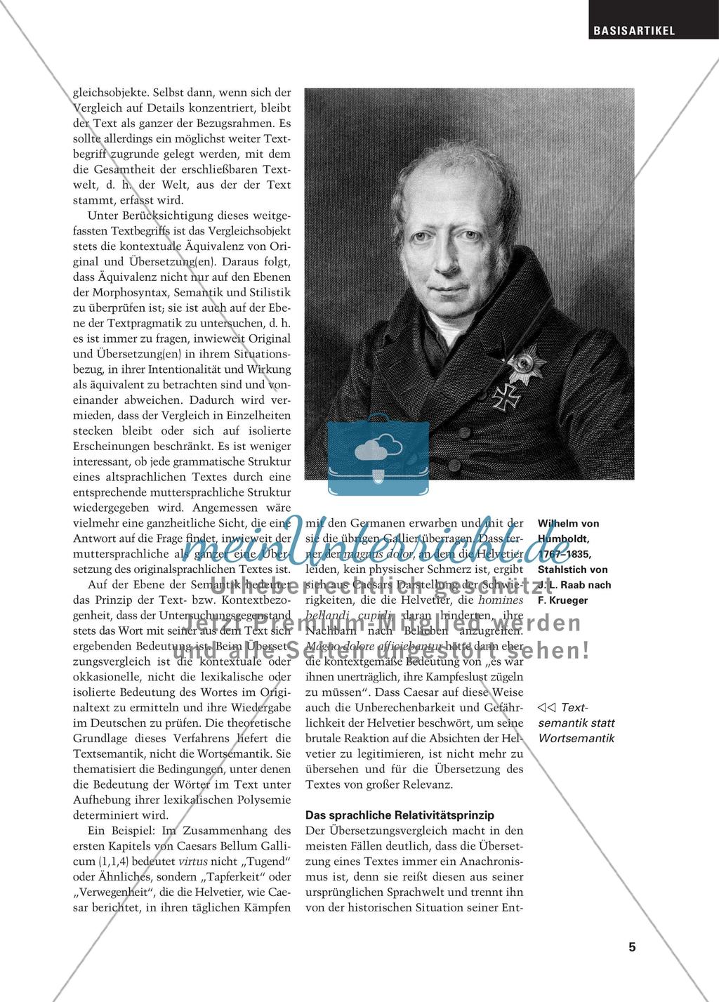 Synoptisches Lesen und bilinguales Textverstehen Preview 4
