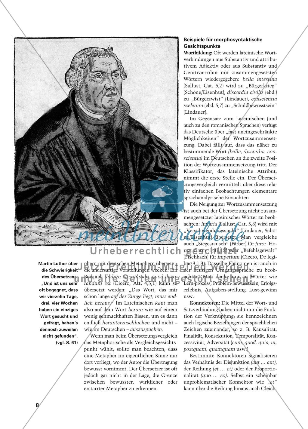 Synoptisches Lesen und bilinguales Textverstehen Preview 7