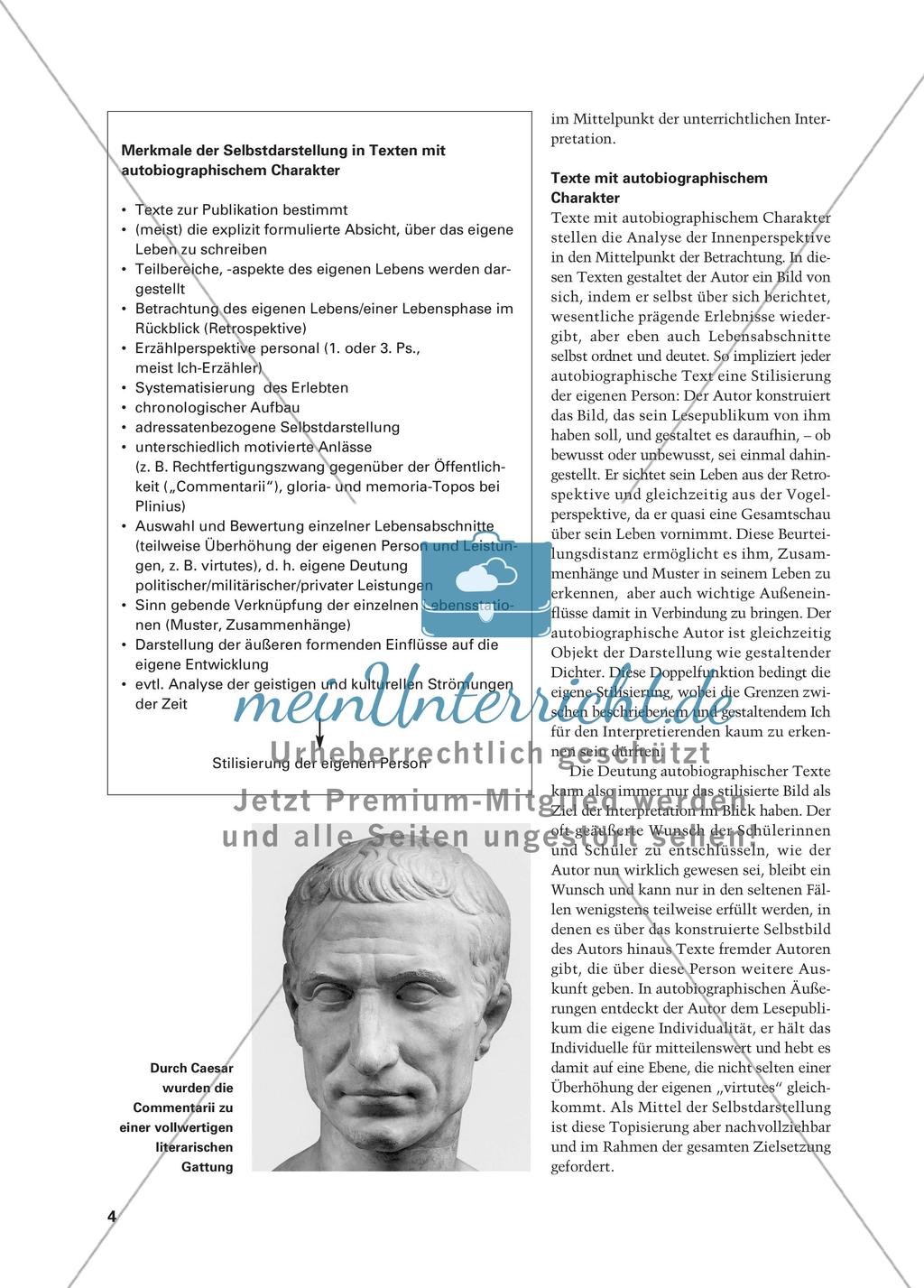Selbstdarstellungen in der Literatur der Antike Preview 3