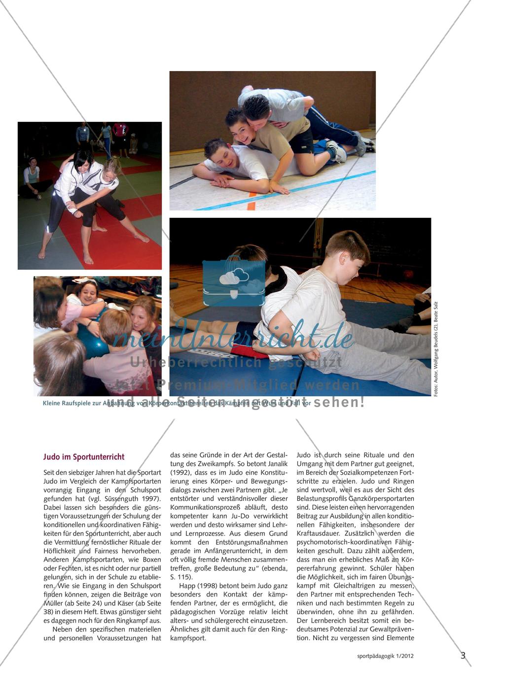 Kämpfen und der Kampfsport Preview 2