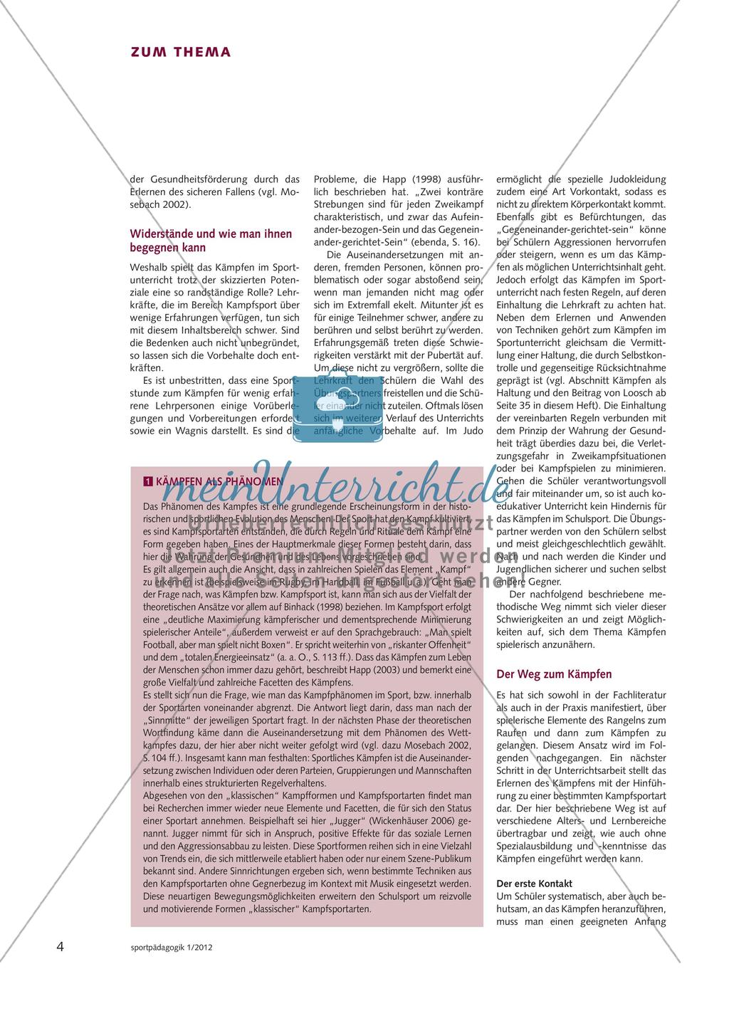 Kämpfen und der Kampfsport Preview 3