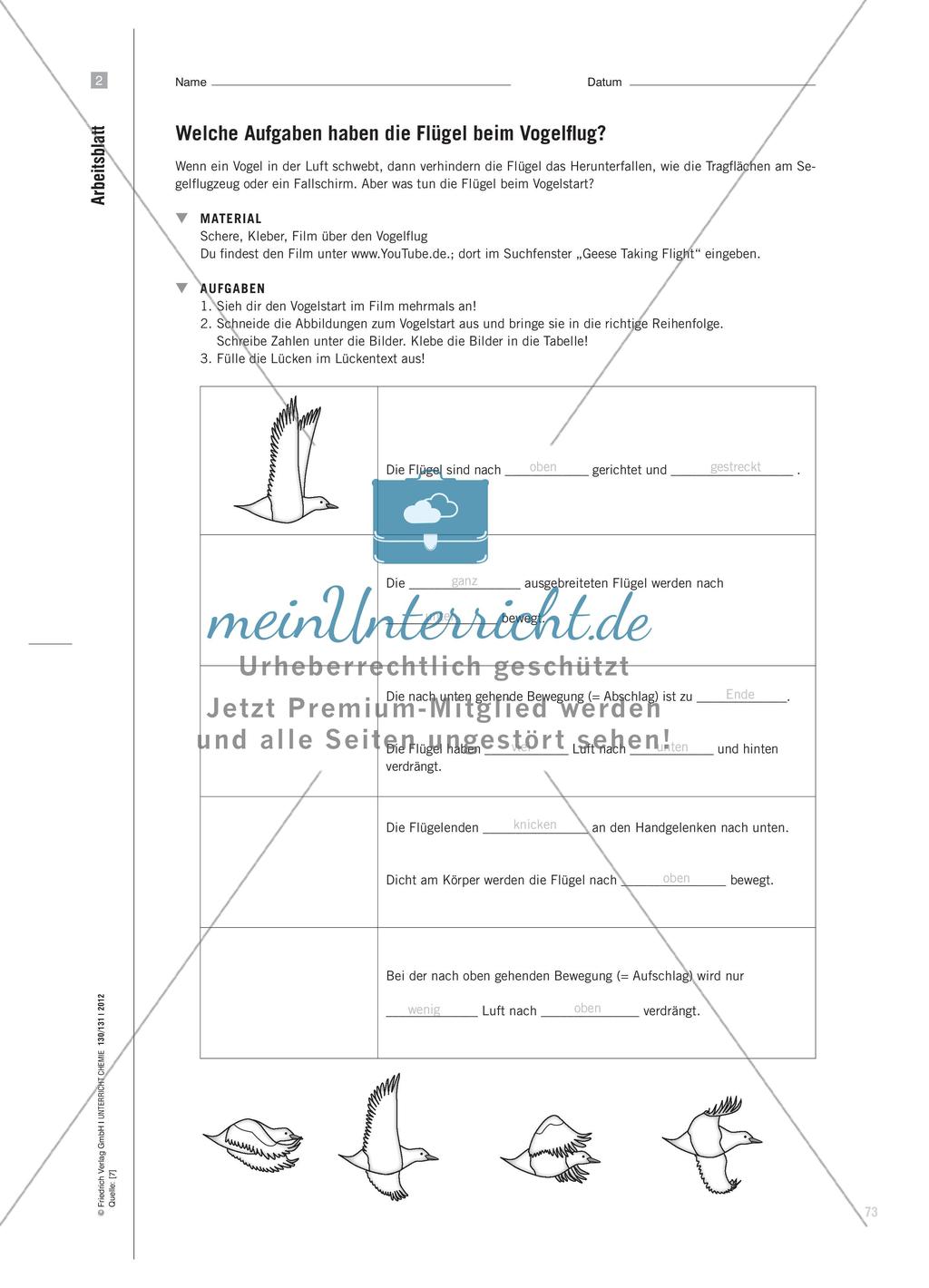 Kontextorientierte Unterrichtseinheiten für den NaWi-Unterricht Preview 4