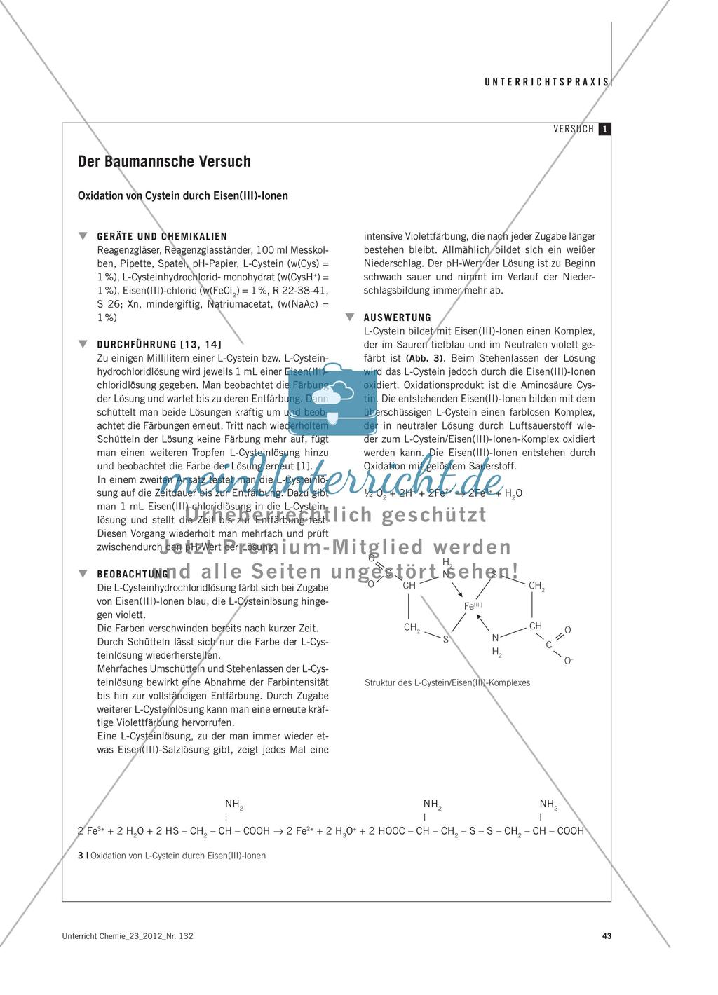 Vom „Blue Bottle“ zum Baumannschen Versuch - Didaktische Analyse von Modellversuchen zur Biokatalyse Preview 3