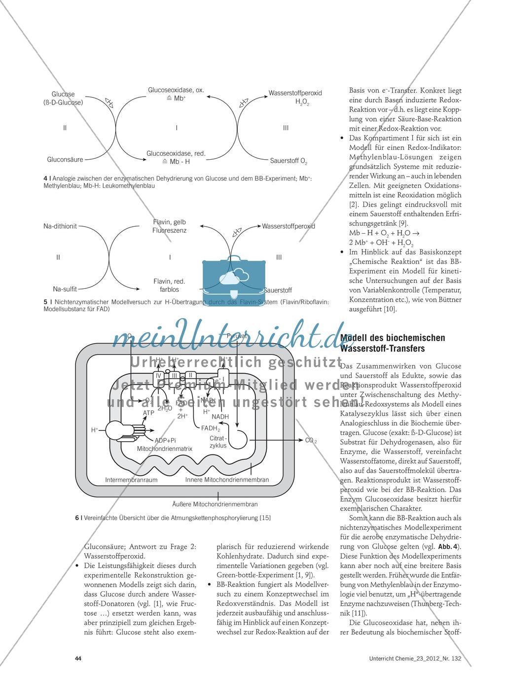 Vom „Blue Bottle“ zum Baumannschen Versuch - Didaktische Analyse von Modellversuchen zur Biokatalyse Preview 4