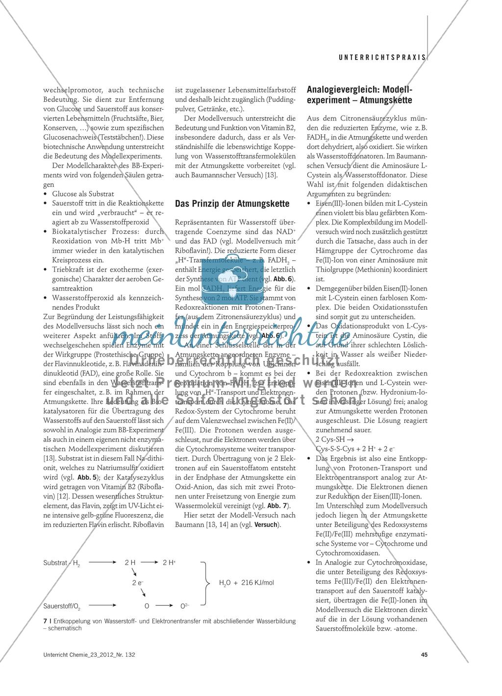 Vom „Blue Bottle“ zum Baumannschen Versuch - Didaktische Analyse von Modellversuchen zur Biokatalyse Preview 5