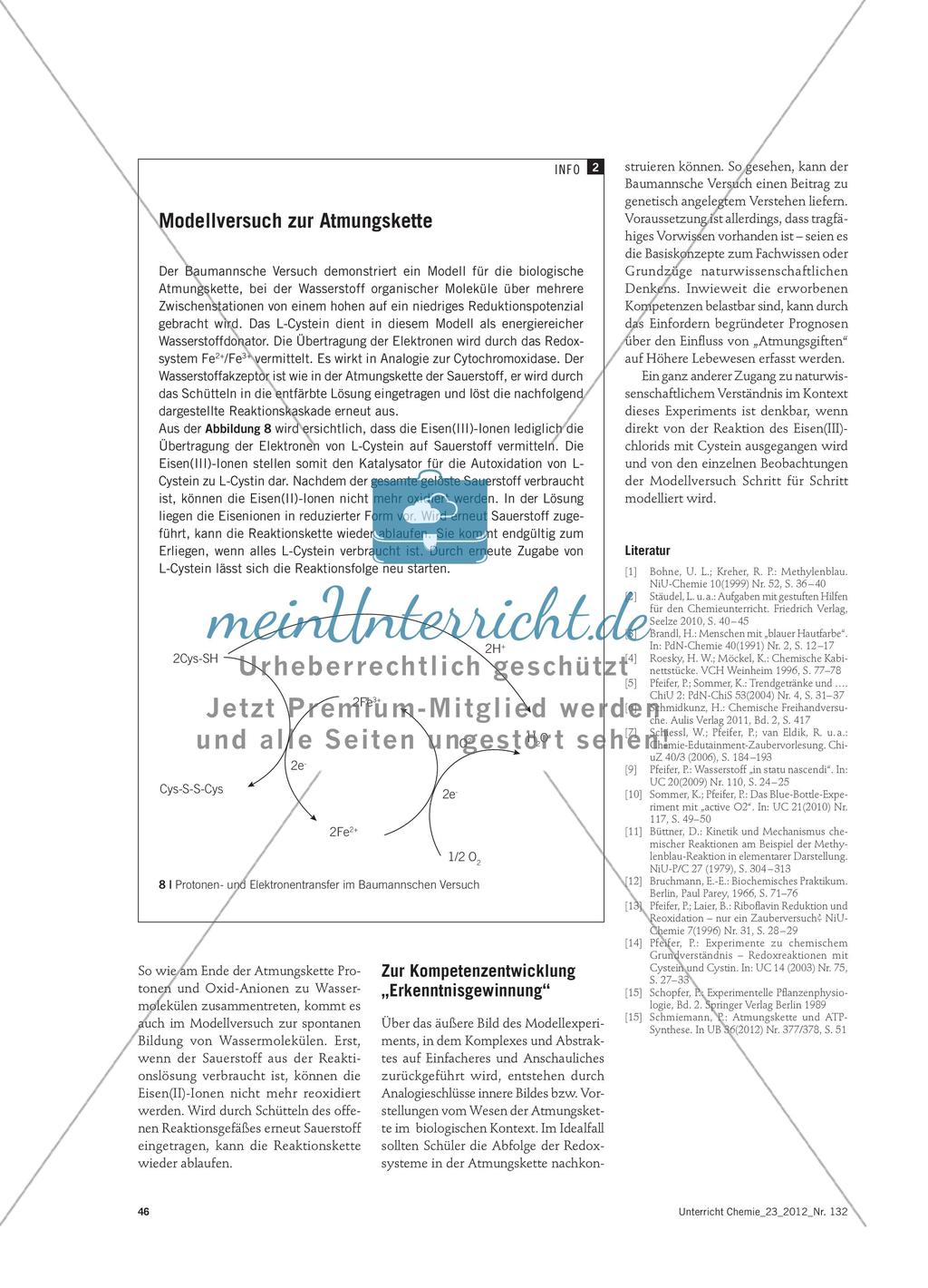 Vom „Blue Bottle“ zum Baumannschen Versuch - Didaktische Analyse von Modellversuchen zur Biokatalyse Preview 6
