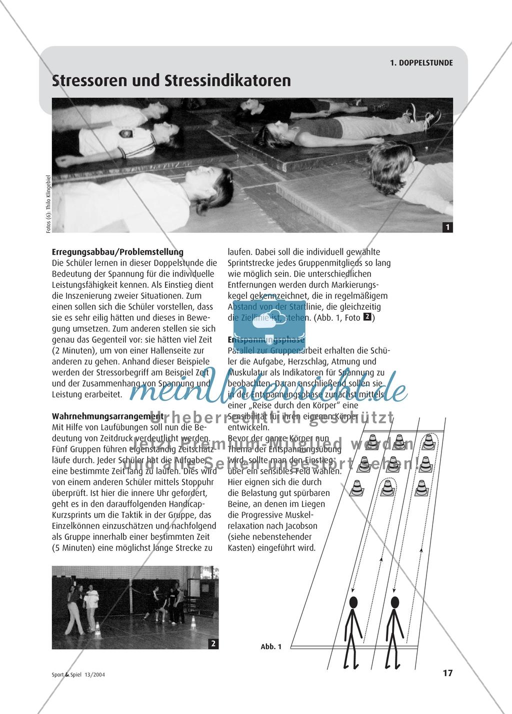 „Jeder hat seinen Everest“ - Psychologisches Training im Schulsport Preview 2
