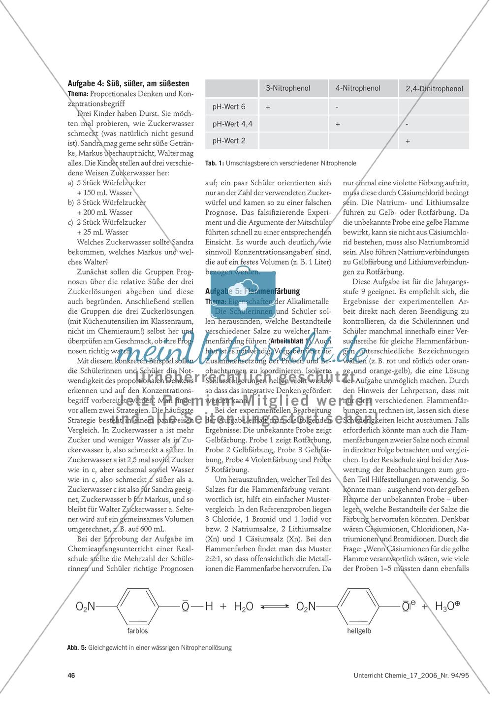 Eigene Strategien finden - Erprobte Aufgaben für den experimentellen Chemieunterricht Preview 5