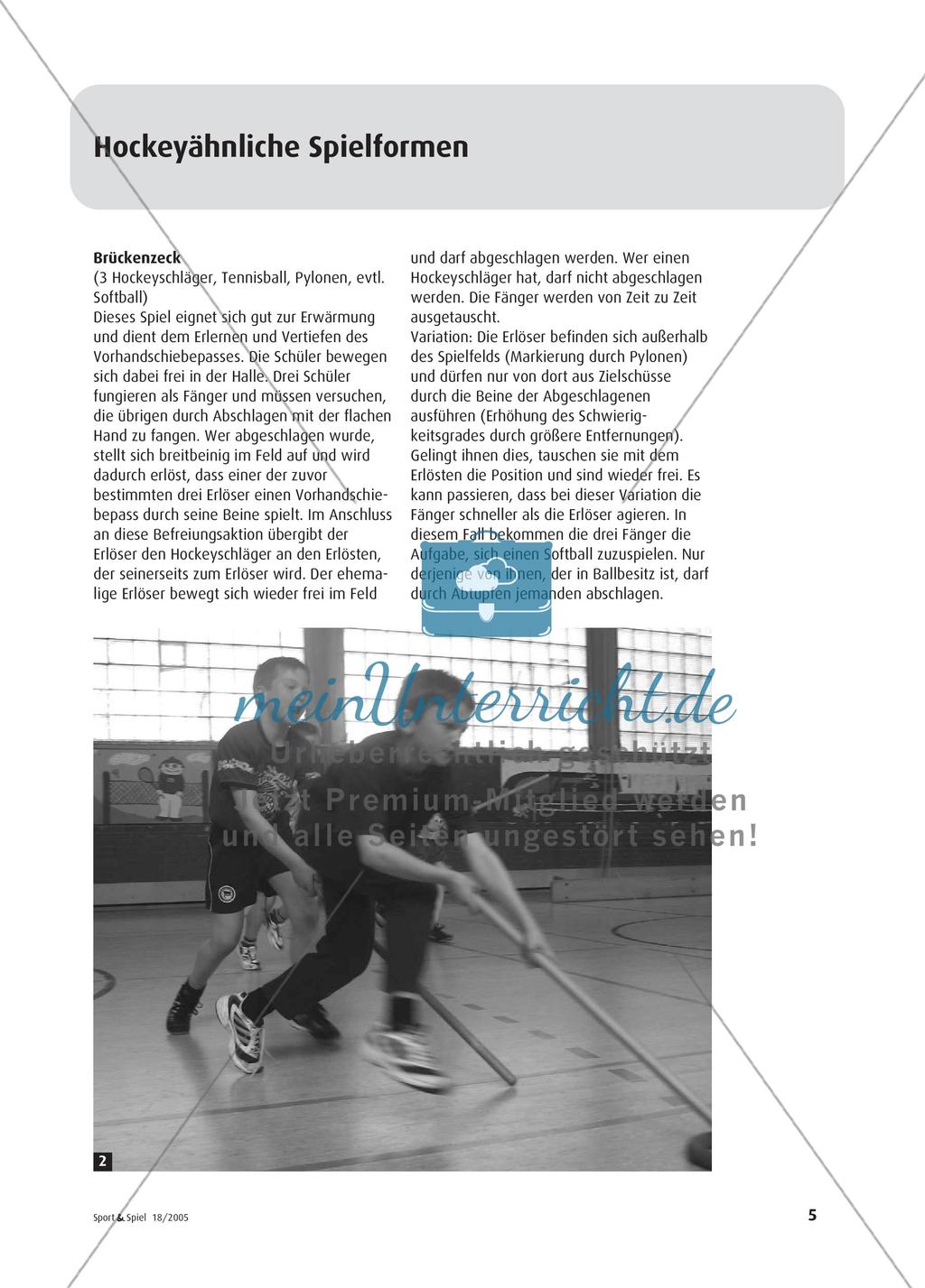 Hockey in der Grundschule - Eine spielerische Einführung in der Sporthalle Preview 2