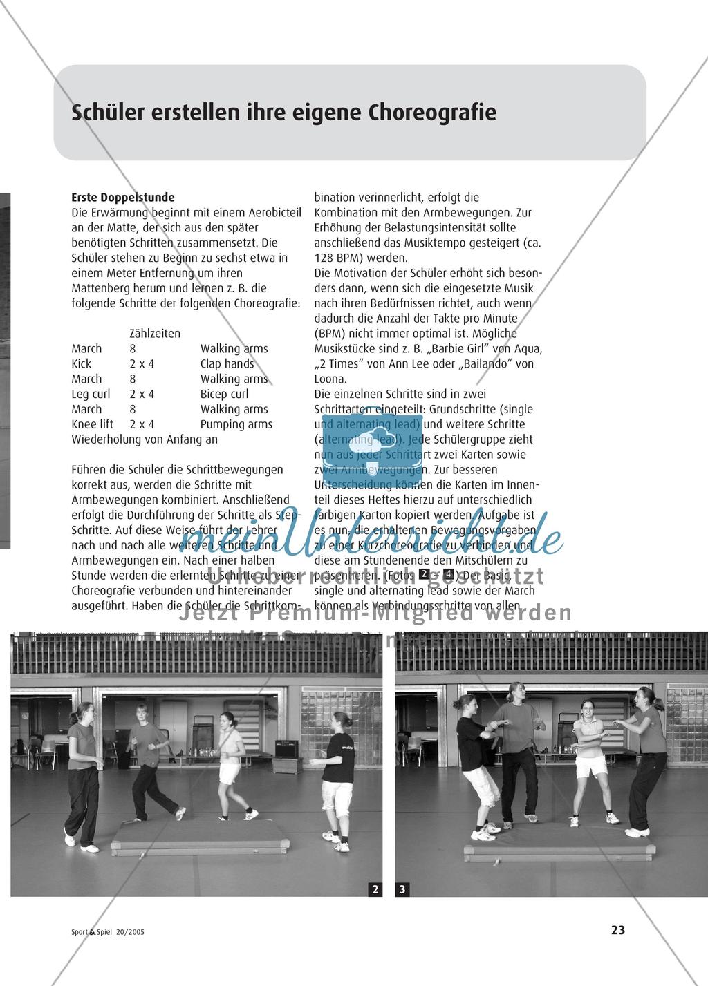 Step-Aerobic ohne Step-Gerät Preview 2