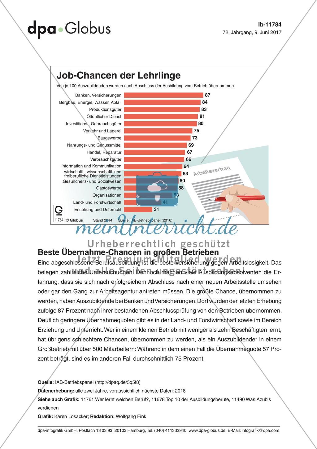 Infografik: Job-Chancen der Lehrlinge Preview 1