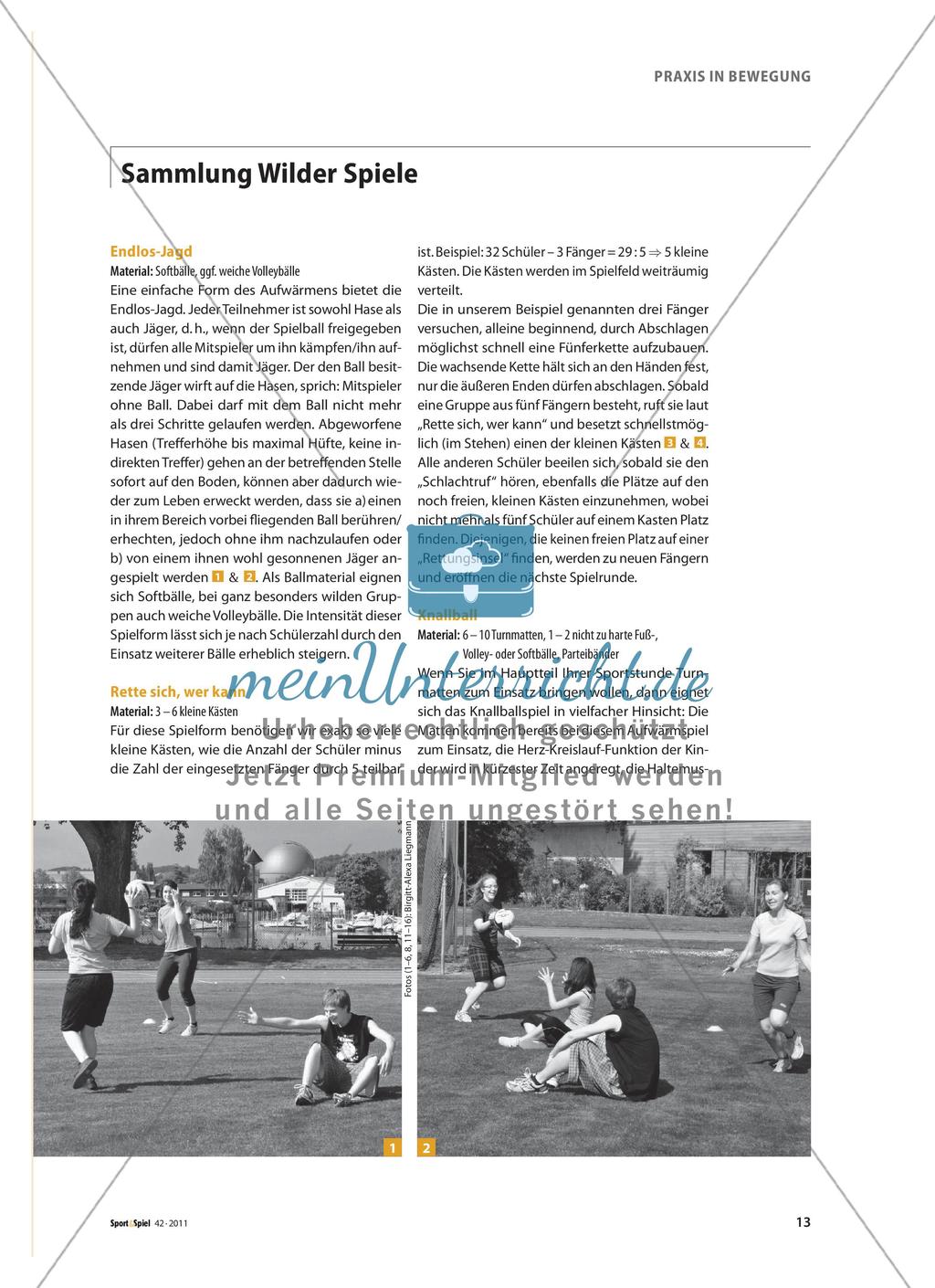 Power mit Wilden Spielen - Mit viel Schwung die Sportstunde beginnen und beenden Preview 2