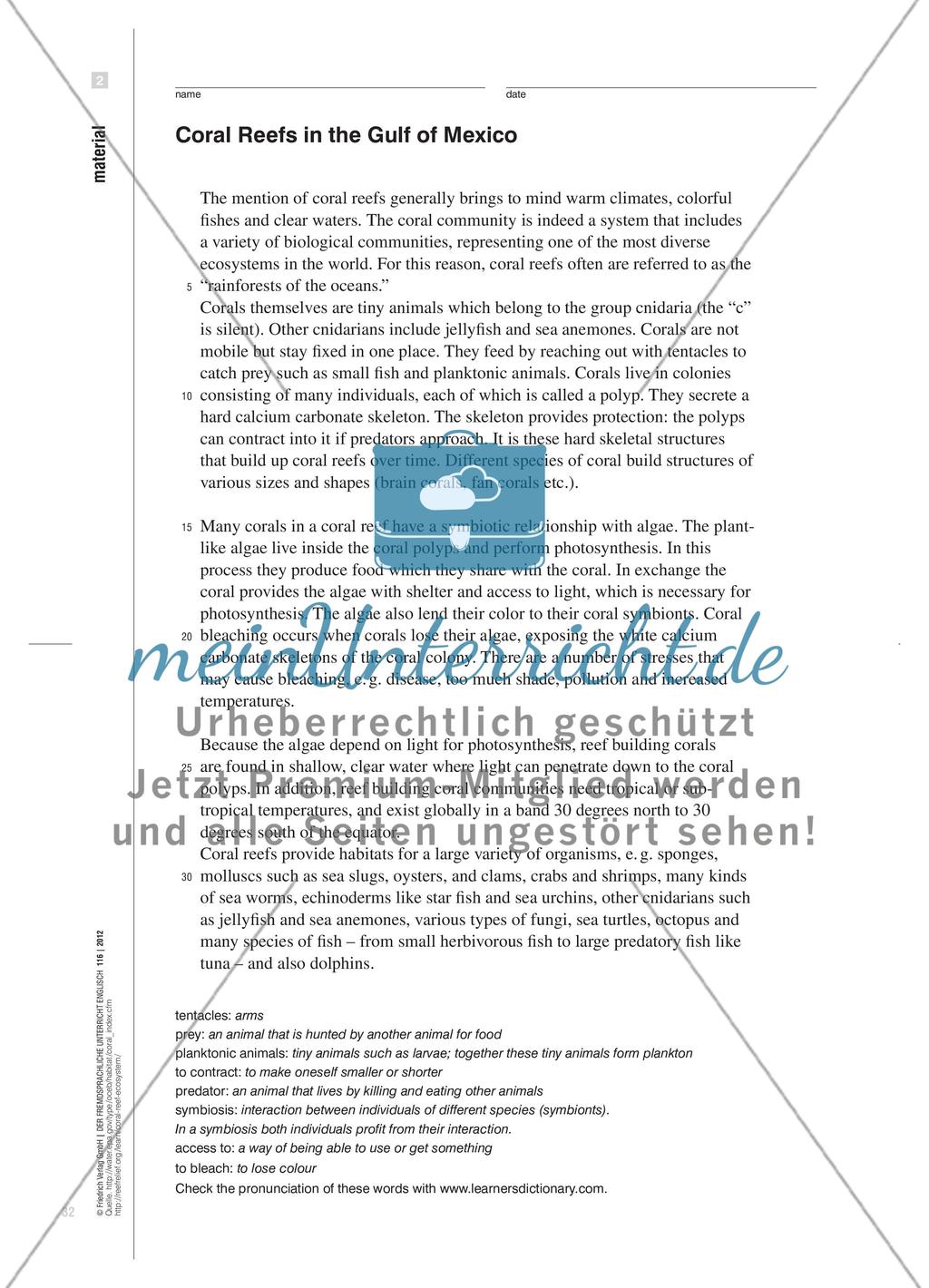 The Day After the Oil Spill - Sprechaufgaben für den bilingualen Biologieunterricht stellen Preview 5