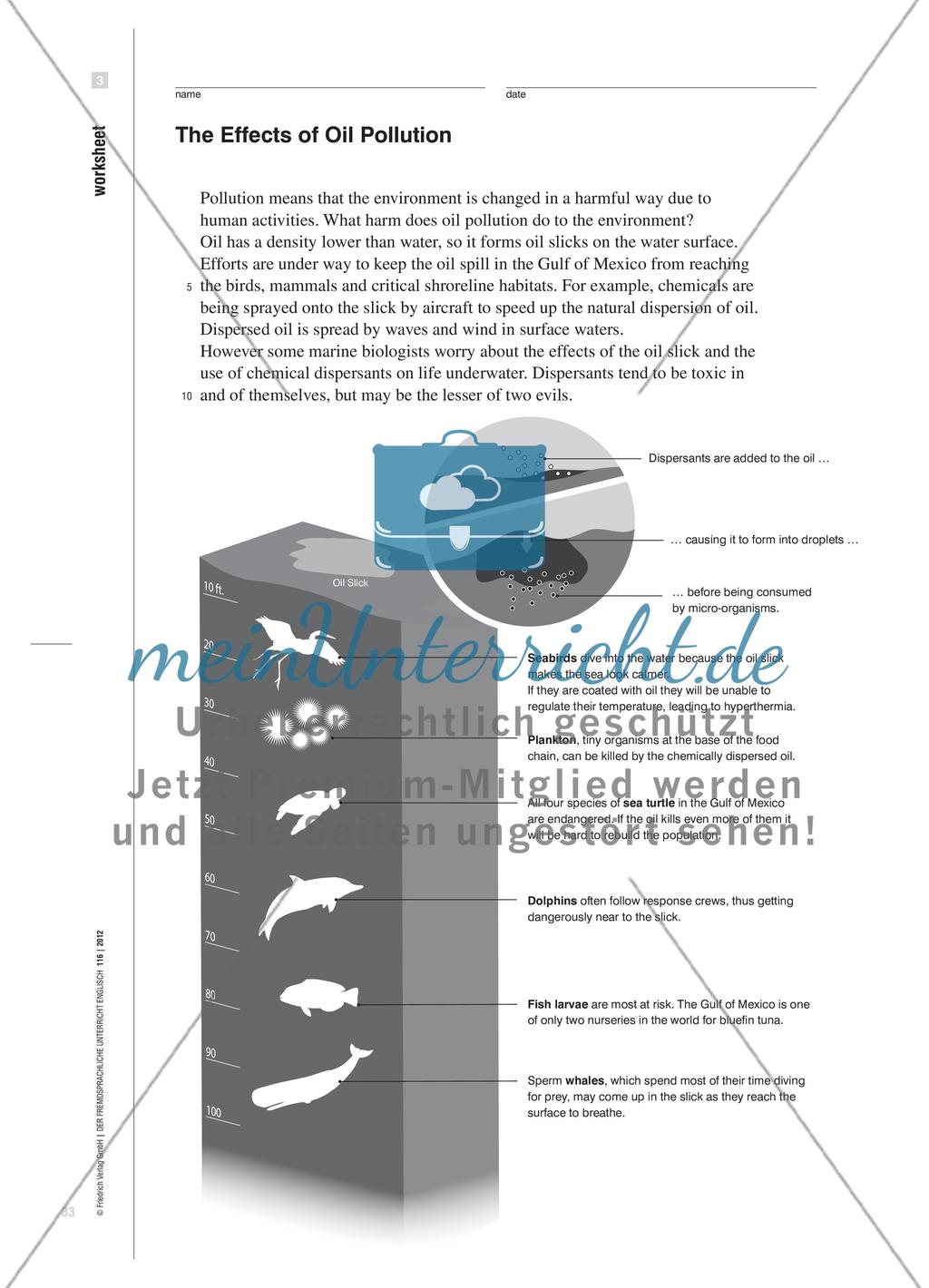 The Day After the Oil Spill - Sprechaufgaben für den bilingualen Biologieunterricht stellen Preview 6
