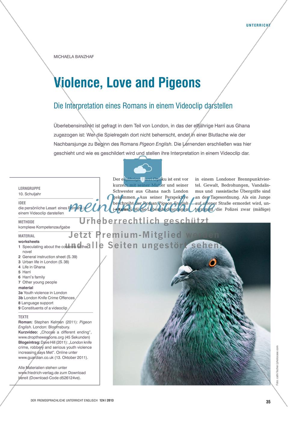 Violence, Love and Pigeons - Die Interpretation eines Romans in einem Videoclip darstellen Preview 1