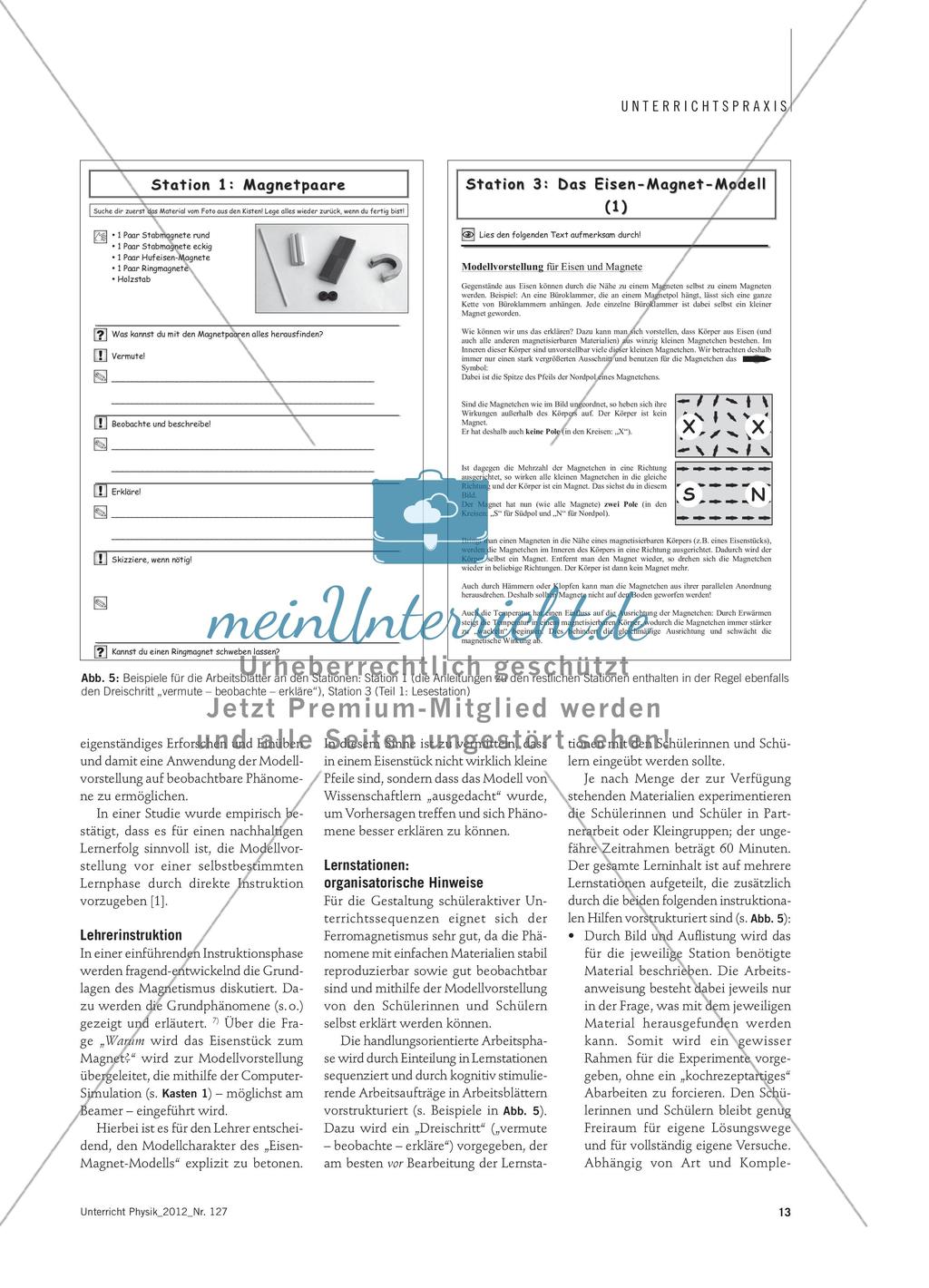 Das Eisen-Magnet-Modell im Unterricht - Chancen und Grenzen Preview 4