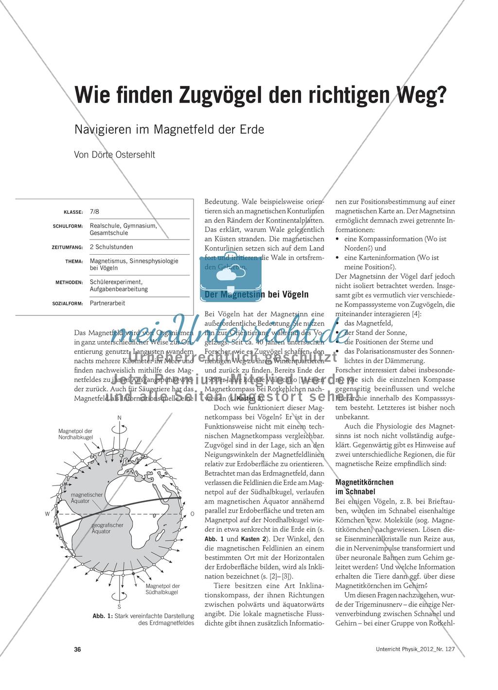Wie finden Zugvögel den richtigen Weg? - Navigieren im Magnetfeld der Erde Preview 1