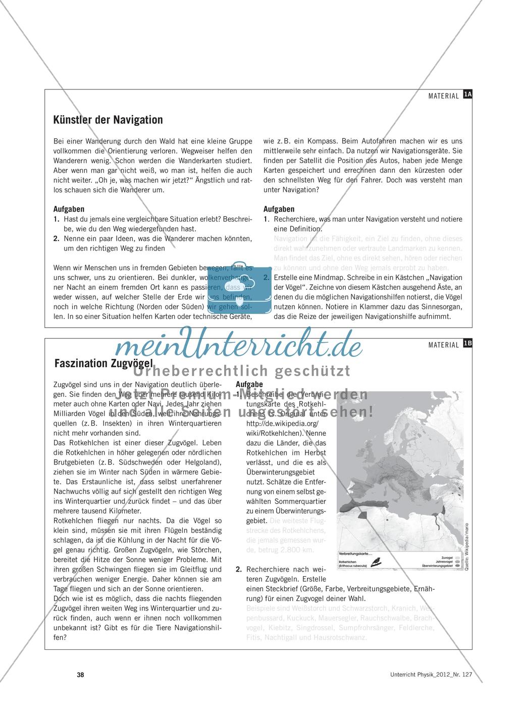 Wie finden Zugvögel den richtigen Weg? - Navigieren im Magnetfeld der Erde Preview 3