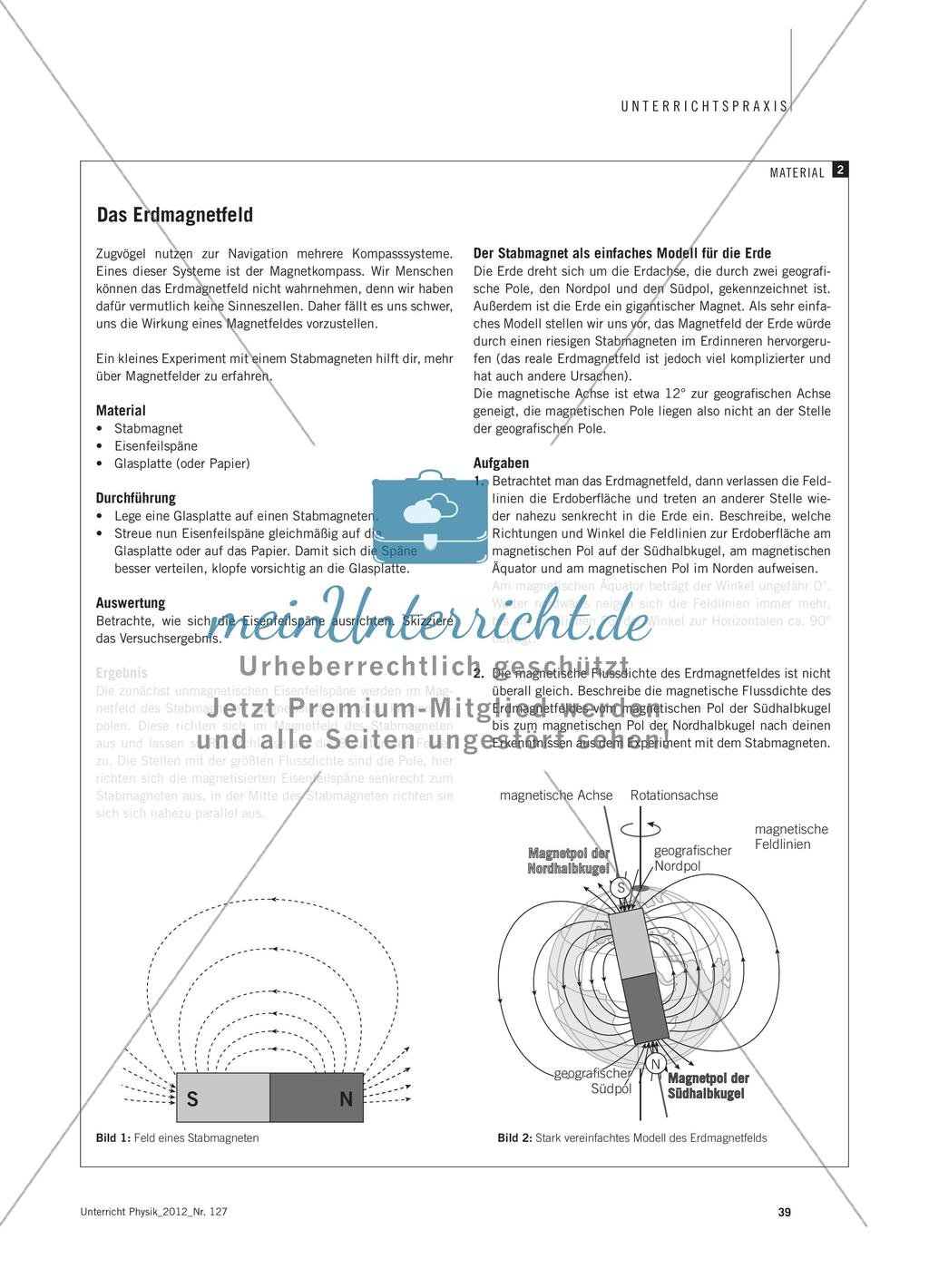 Wie finden Zugvögel den richtigen Weg? - Navigieren im Magnetfeld der Erde Preview 4