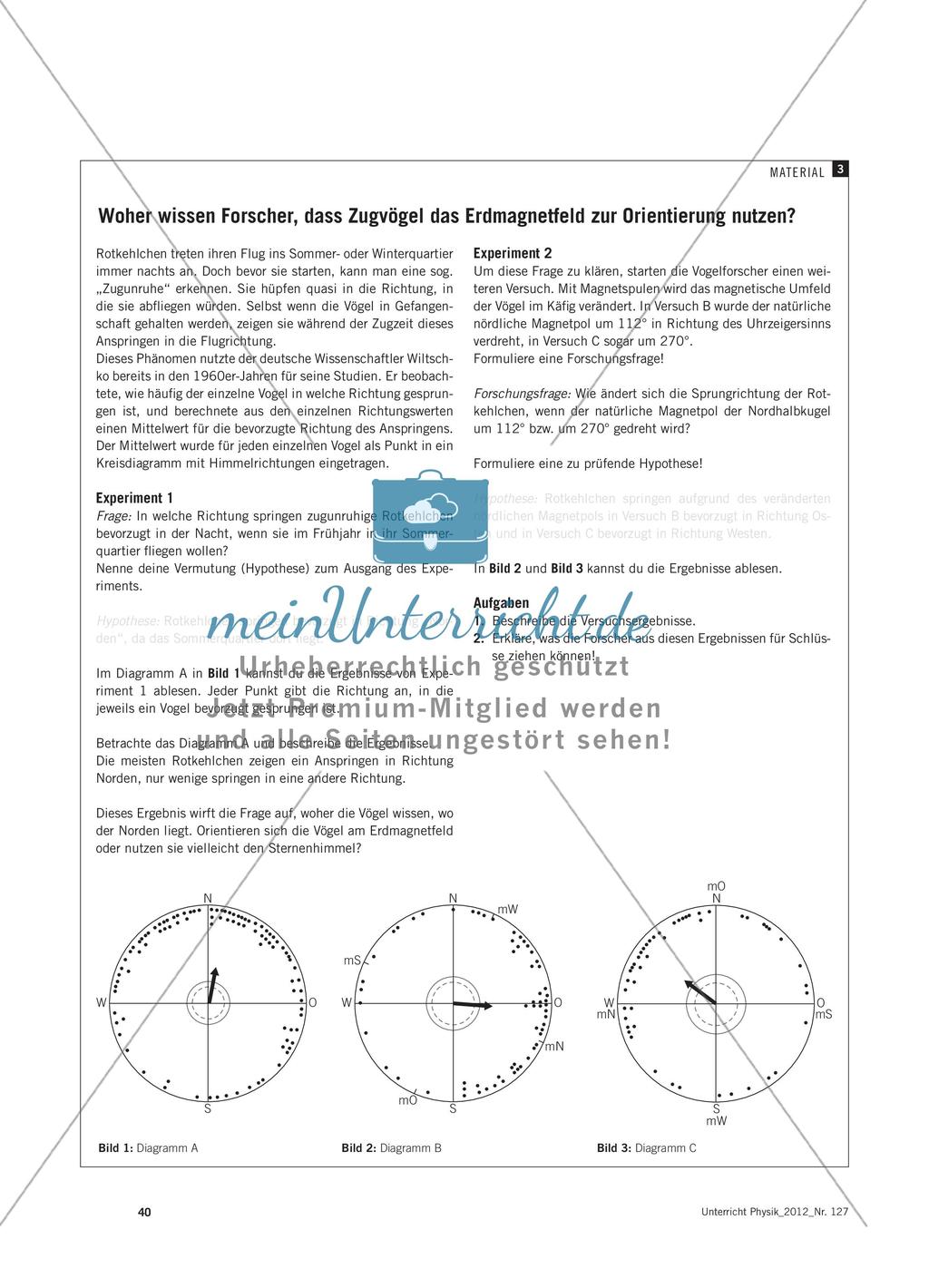 Wie finden Zugvögel den richtigen Weg? - Navigieren im Magnetfeld der Erde Preview 5