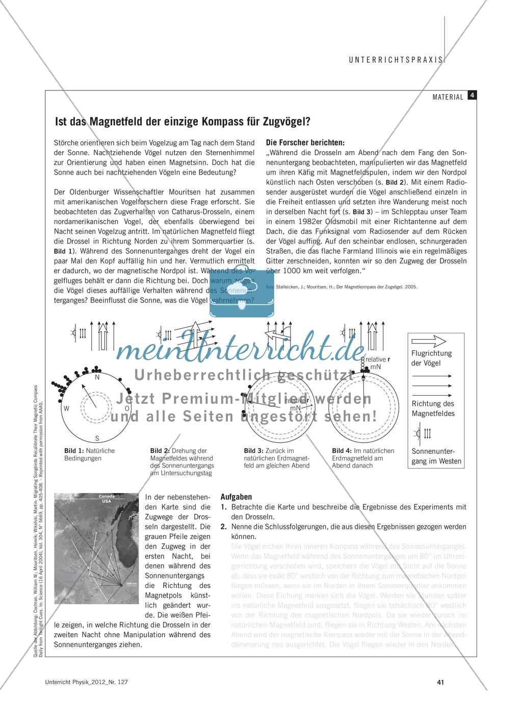 Wie finden Zugvögel den richtigen Weg? - Navigieren im Magnetfeld der Erde Preview 6