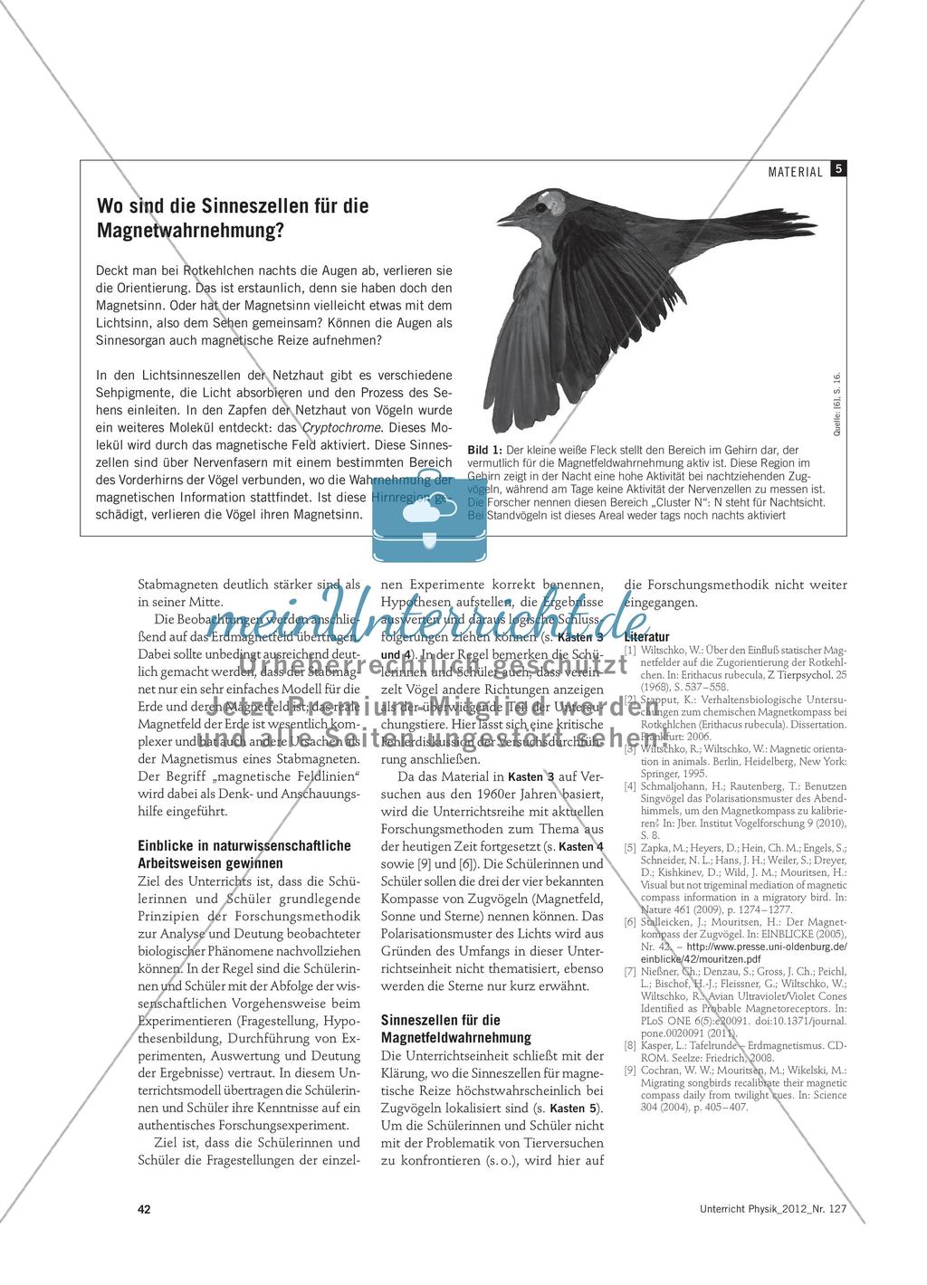 Wie finden Zugvögel den richtigen Weg? - Navigieren im Magnetfeld der Erde Preview 7