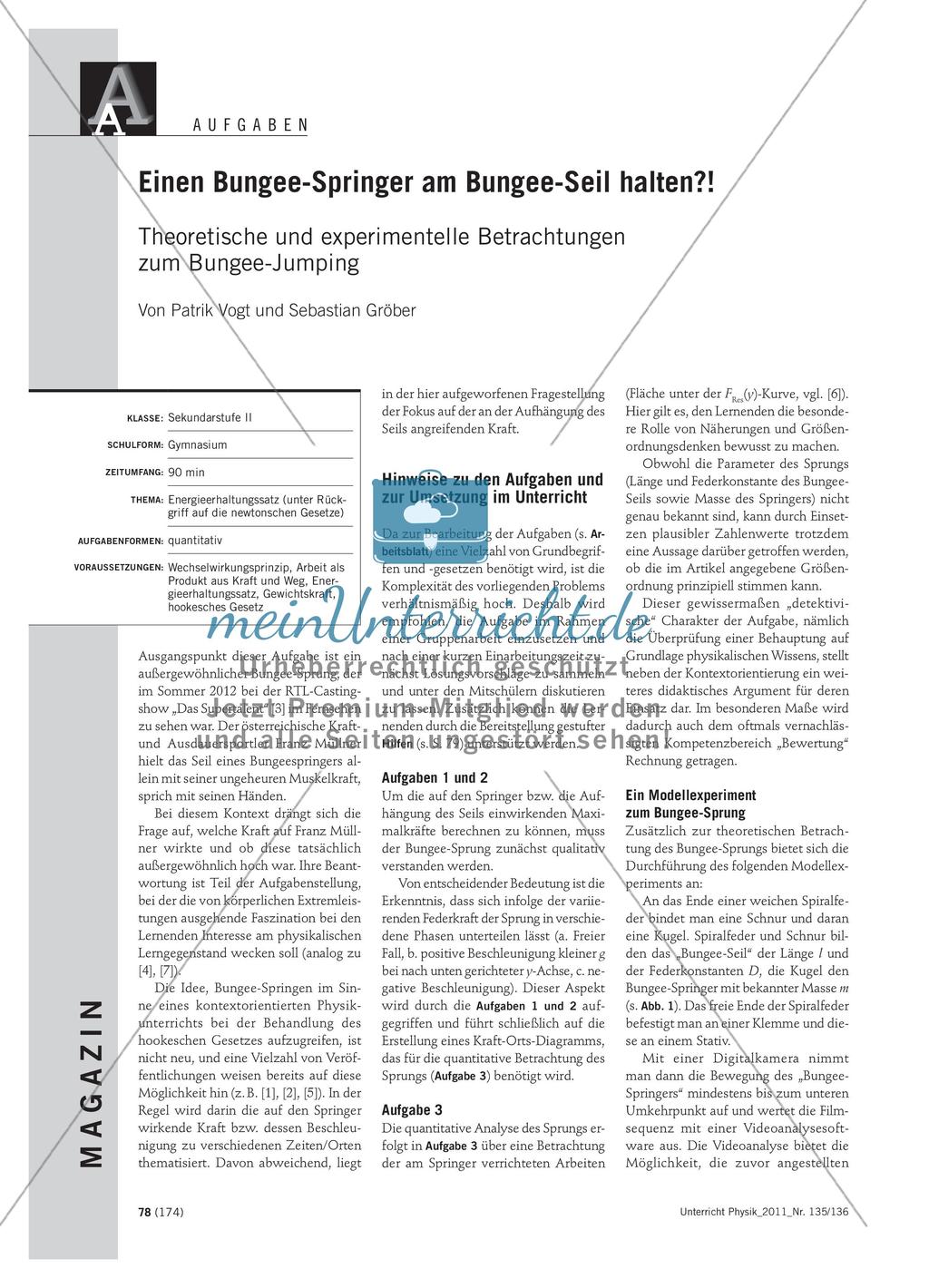 Einen Bungee-Springer am Bungee-Seil halten?! - Theoretische und experimentelle Betrachtungen zum Bungee-Jumping Preview 1
