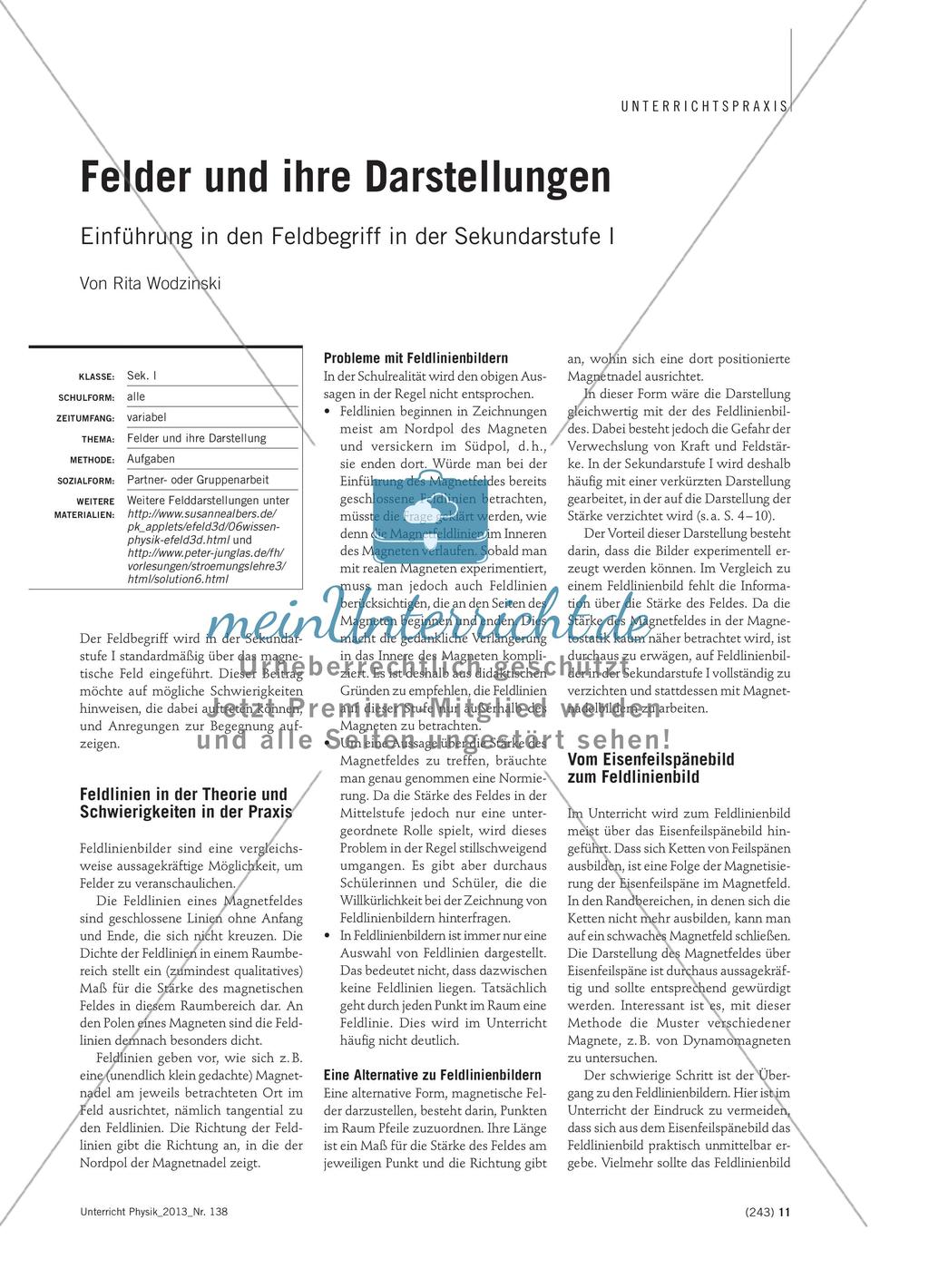 Felder und ihre Darstellungen - Einführung in den Feldbegriff in der Sekundarstufe I Preview 1