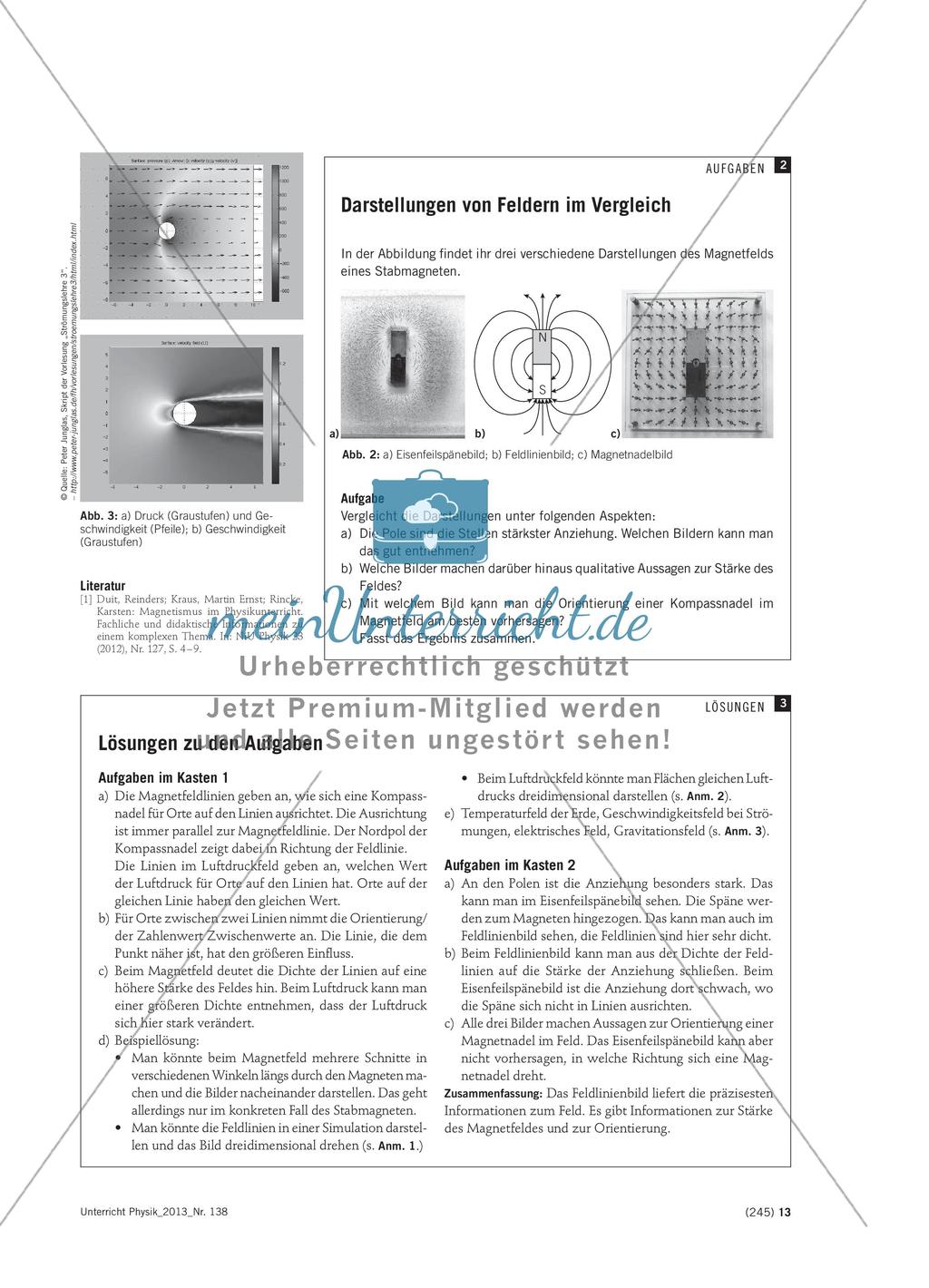 Felder und ihre Darstellungen - Einführung in den Feldbegriff in der Sekundarstufe I Preview 3