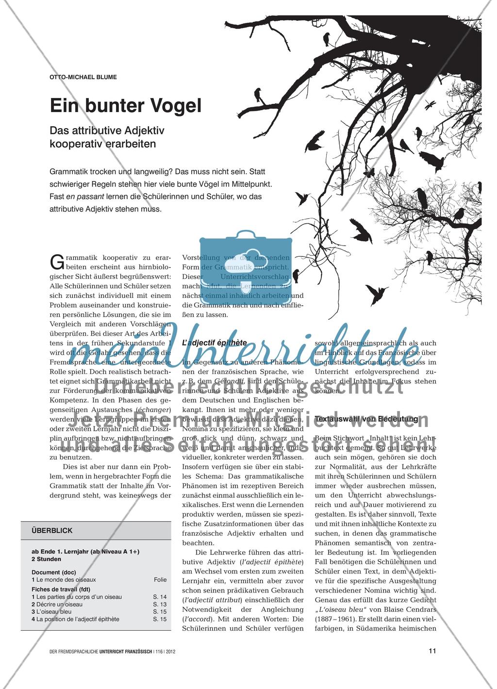 Ein bunter Vogel - Das attributive Adjektiv kooperativ erarbeiten Preview 1
