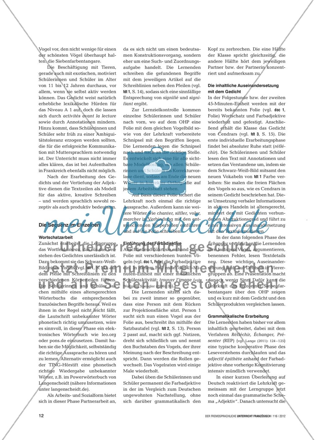 Ein bunter Vogel - Das attributive Adjektiv kooperativ erarbeiten Preview 2