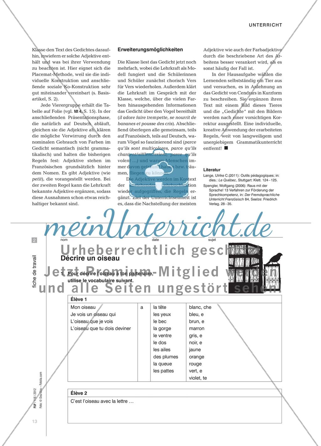 Ein bunter Vogel - Das attributive Adjektiv kooperativ erarbeiten Preview 3